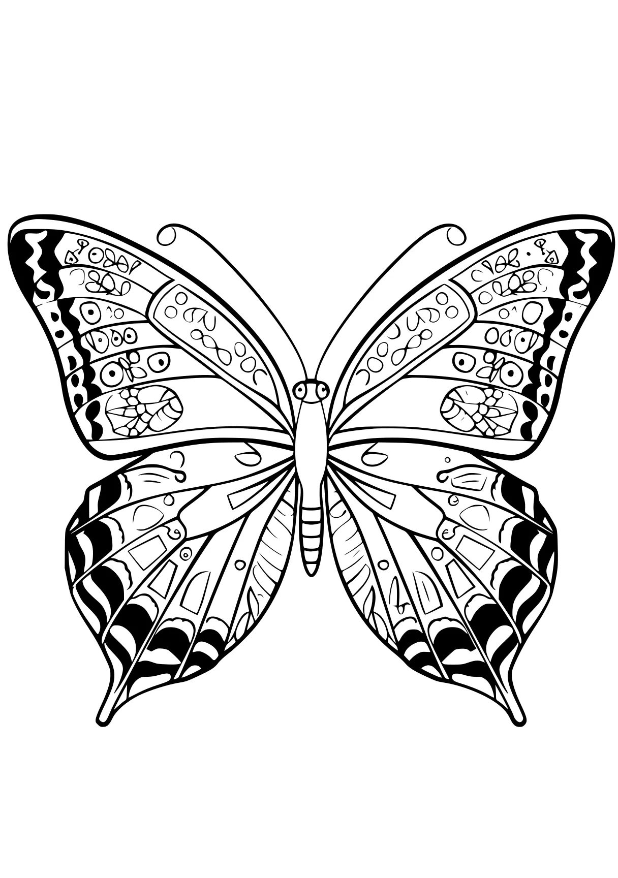 butterfly coloring sheet butterfly, butterflies, insect, free page downloads