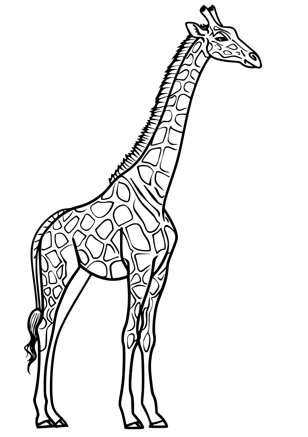 giraffe coloring pages brachiosaurus, giraffe, camel, llama, biollante, free page downloads