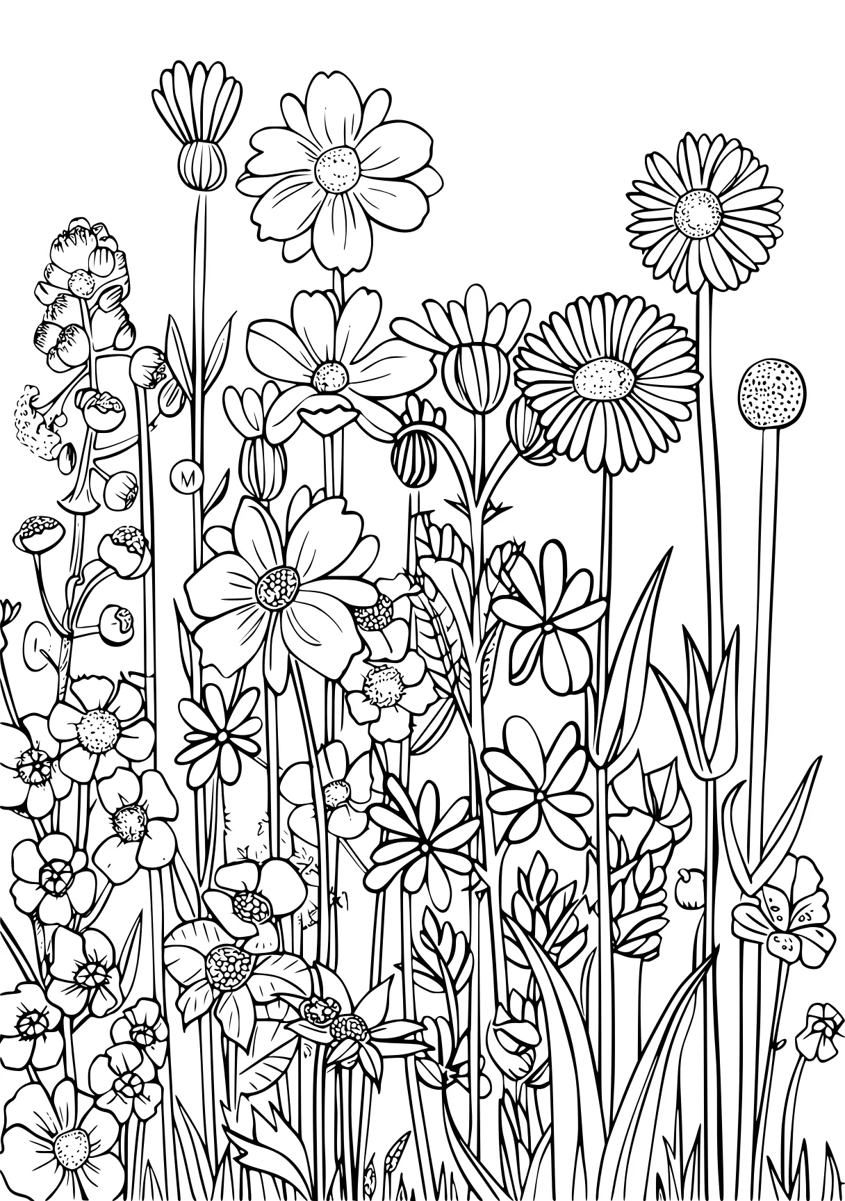 amazon coloring books for adults, colouring, plants, zentangle, free page downloads