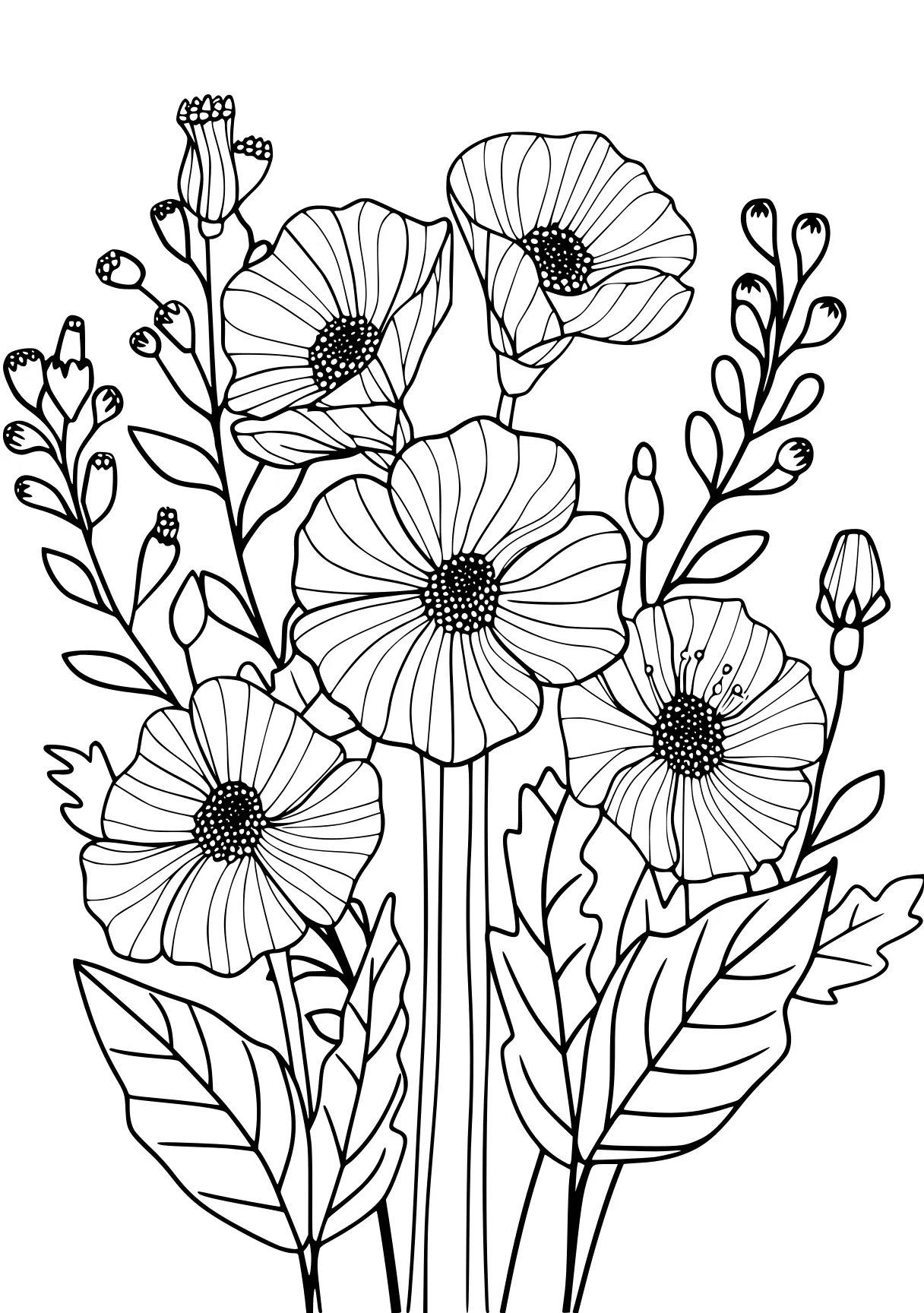 coloring pages for adults flowers, flowers, flower, colouring, free page downloads