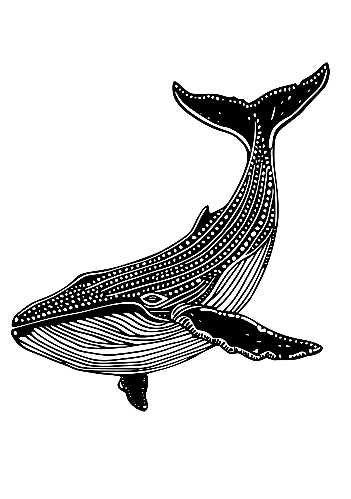 whale coloring pages whale, whales, orca, mosasaurus, dolphin, free page downloads