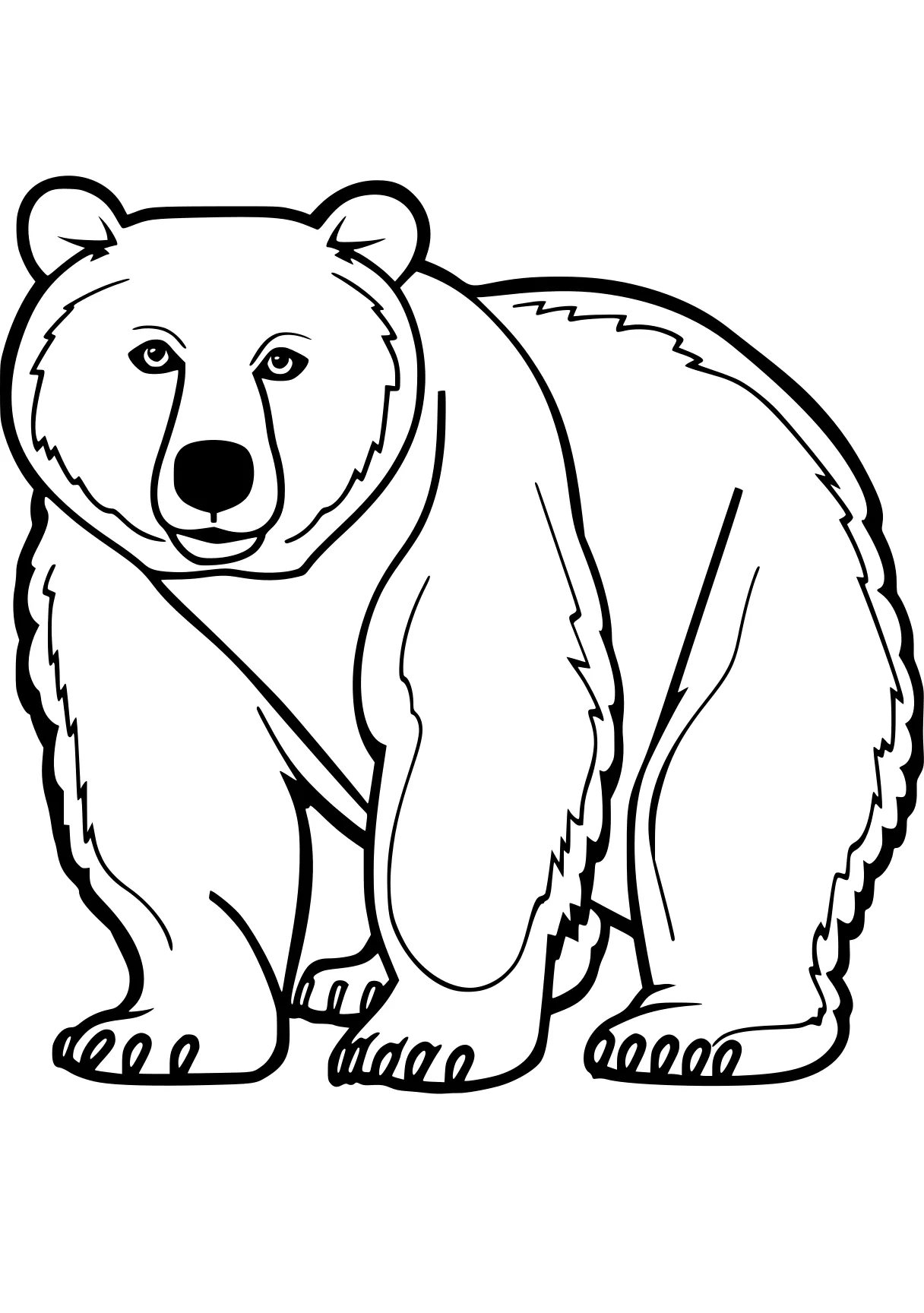 bear coloring pages bear, polar, bears, free page downloads