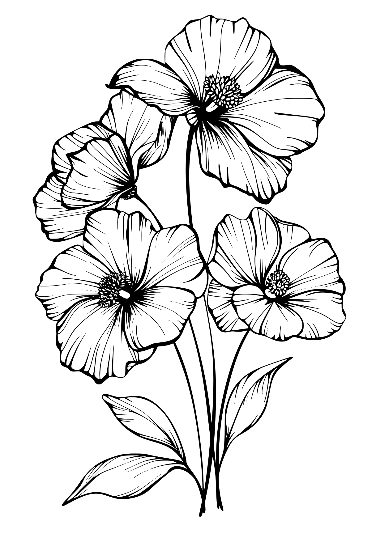 coloring pages for adults pdf flower, tulip, flowers, floral, free page downloads