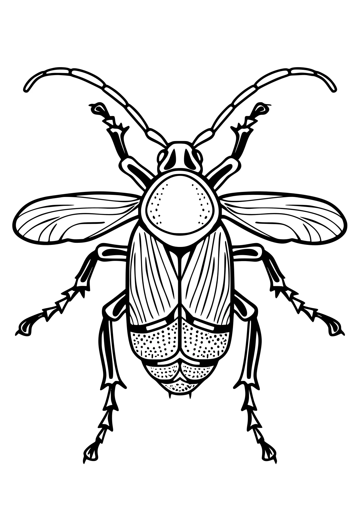 insect coloring pages insect, insects, bee, size, adult, free page downloads