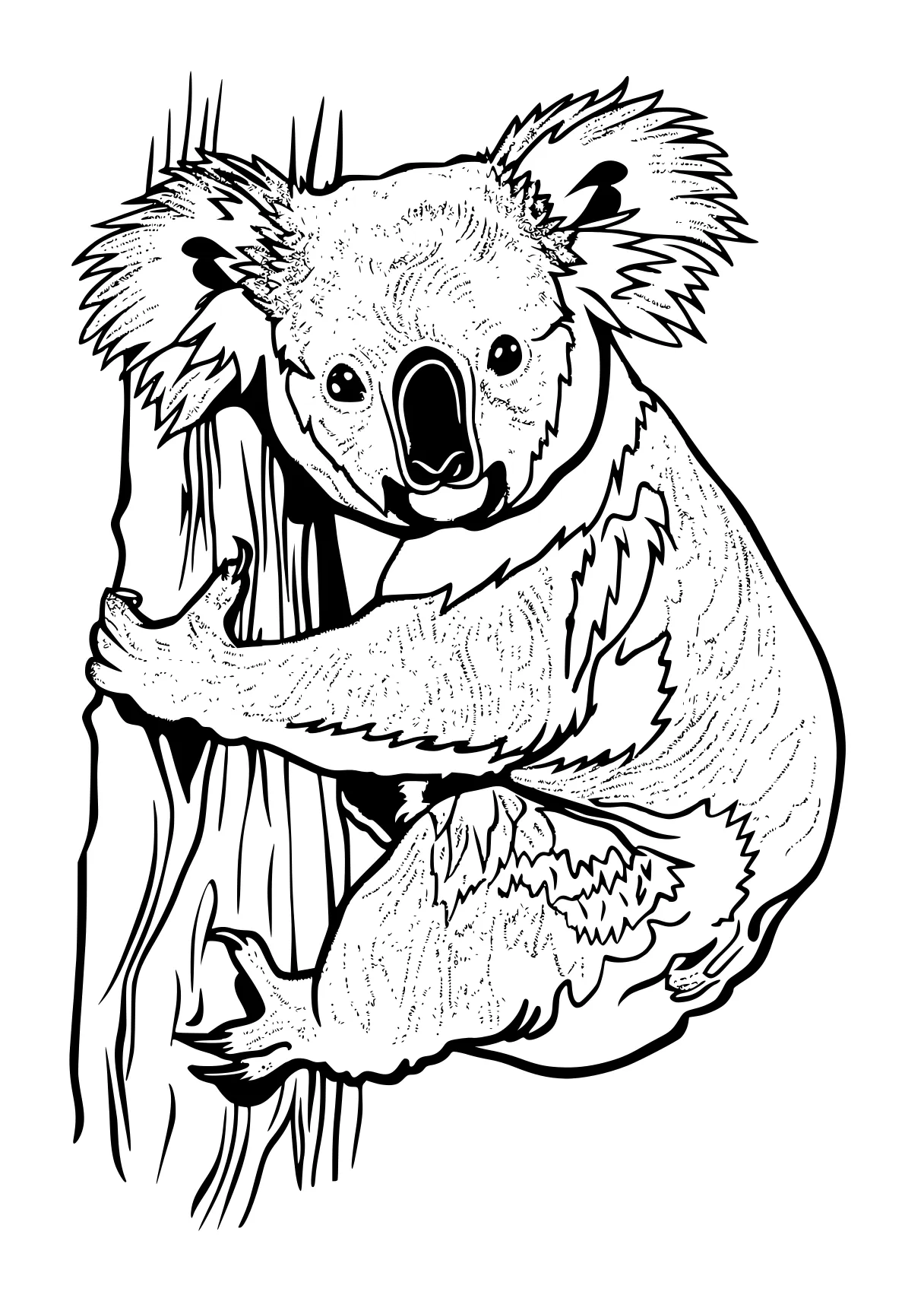 koala coloring pages koala, bear, sloth, winnie, pooh, free page downloads