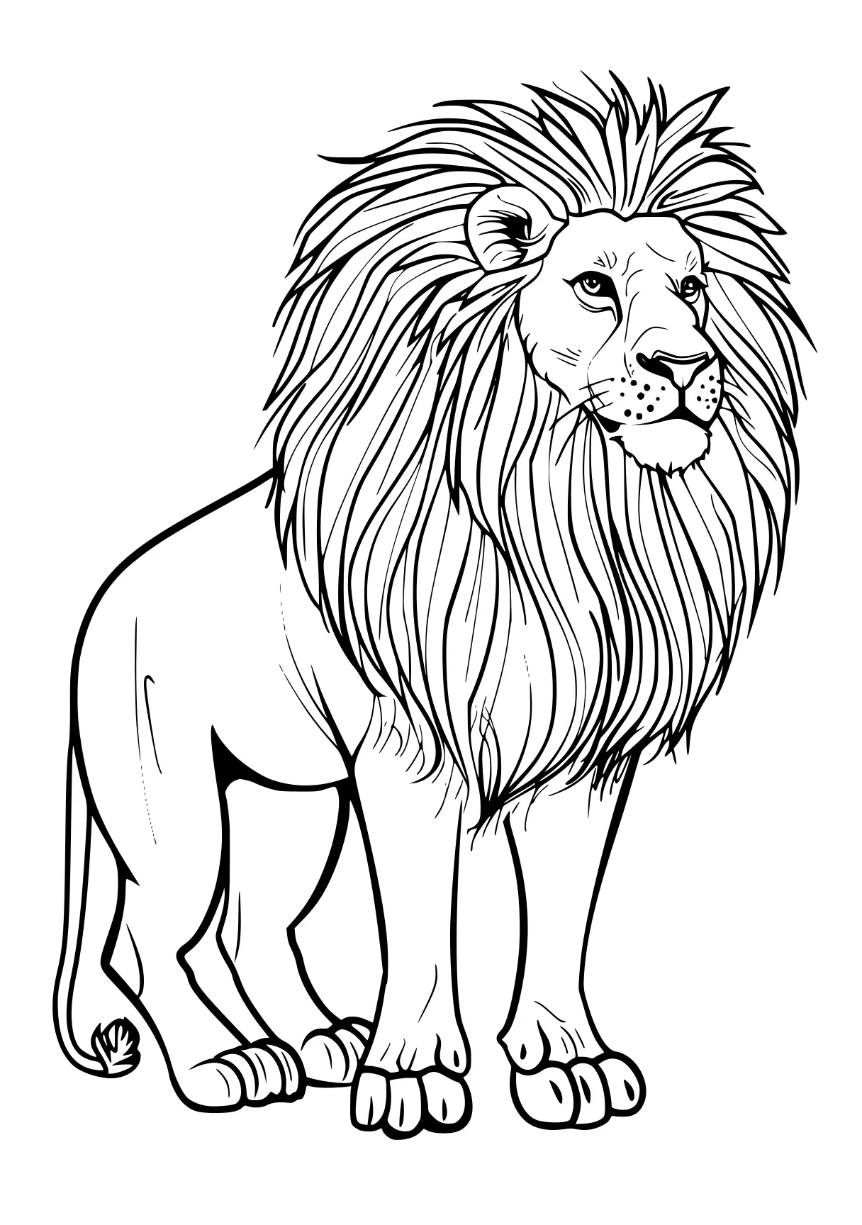 lion coloring page lion, lions, panther, free downloads