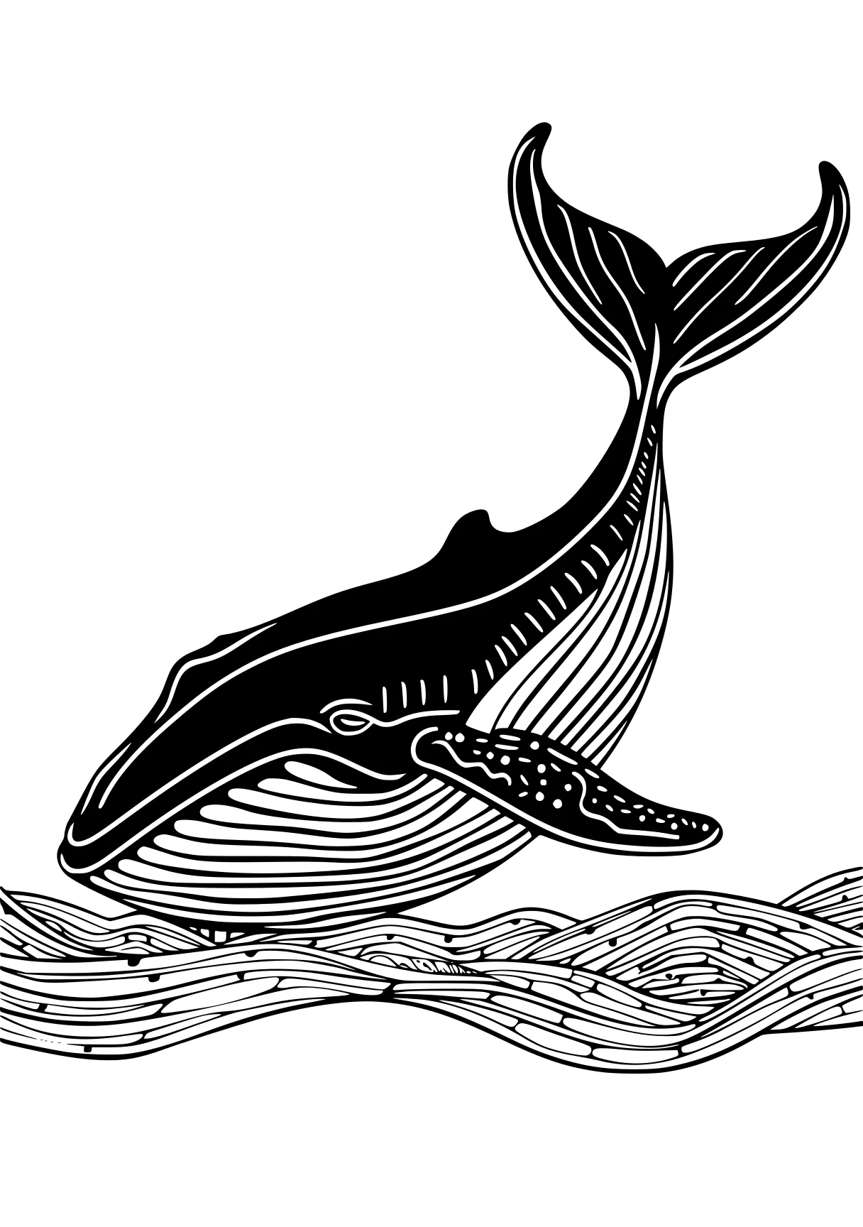 whale coloring page orca, whale, whales, dolphin, mosasaurus, free downloads