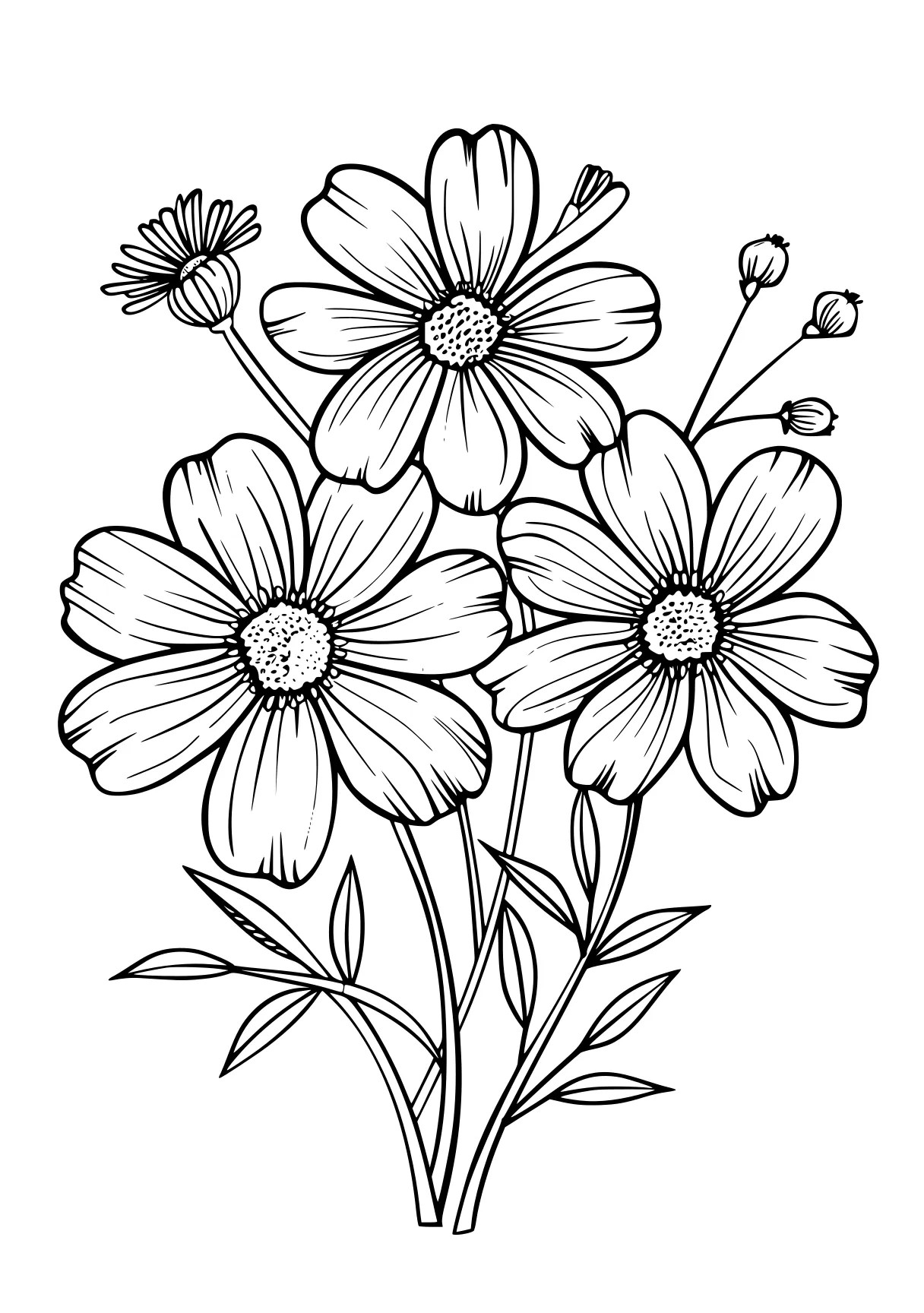 printable flower coloring pages, flowers, flower, zentangle, free page downloads