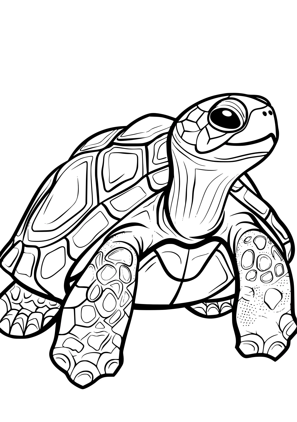 turtle coloring pages turtle, turtles, squirtle, free page downloads