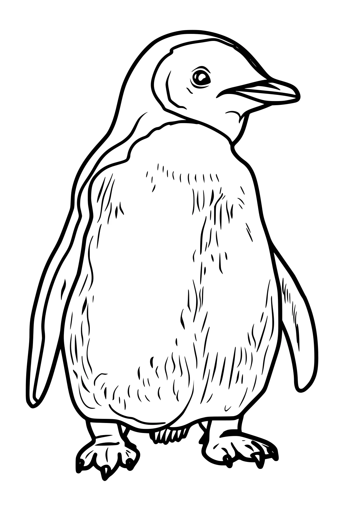 penguin coloring sheet penguin, bird, toucan, adult, duck, free page downloads