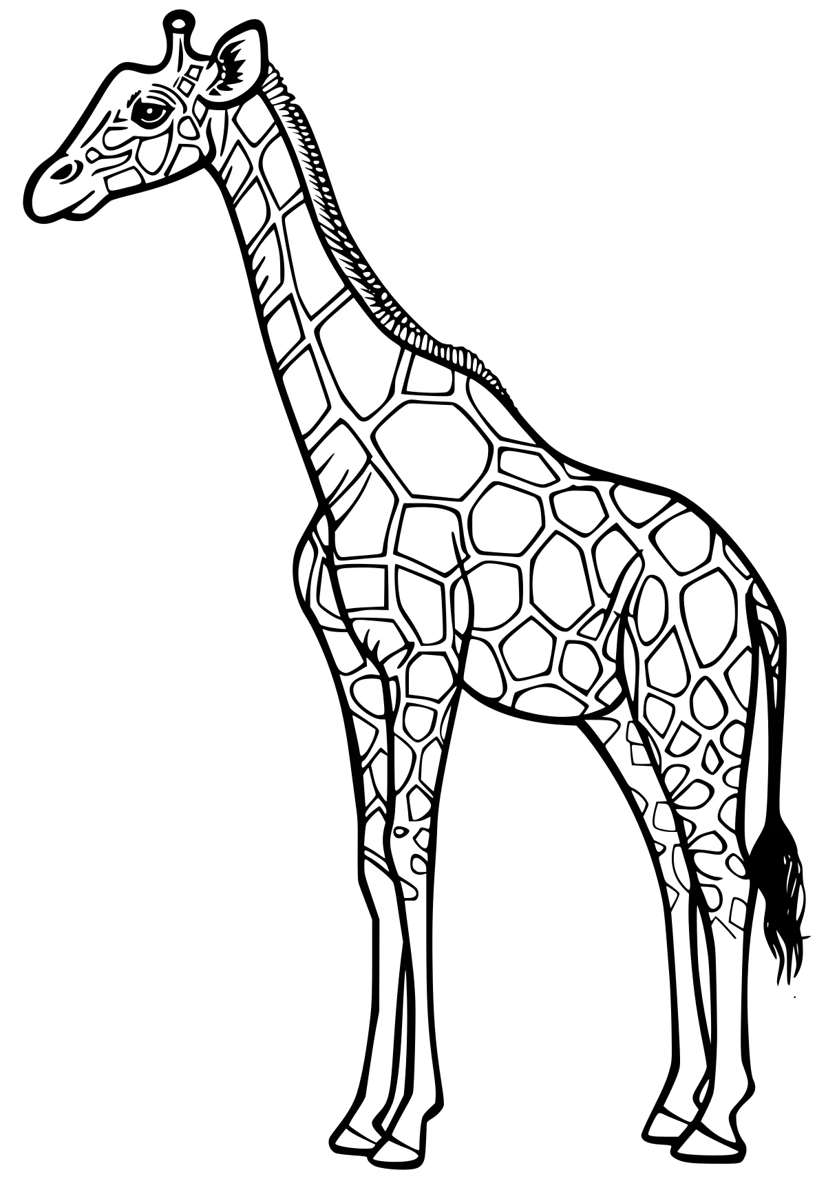 giraffe coloring pages giraffe, brachiosaurus, llama, camel, deer, free page downloads