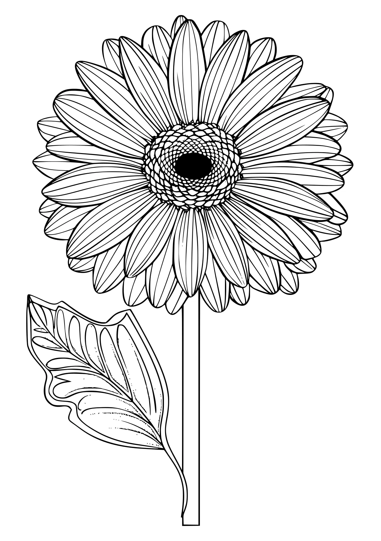 flower coloring, flower, sunflower, daisy, free page downloads