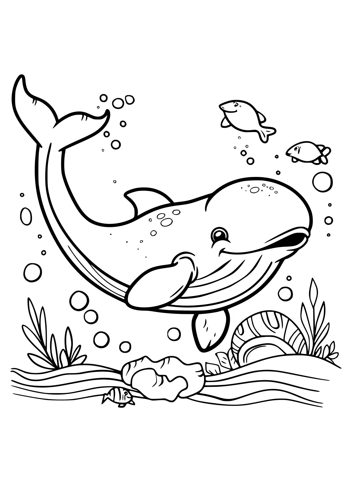 bluey coloring dolphin, whale, whales, aquarium, orca, free page downloads