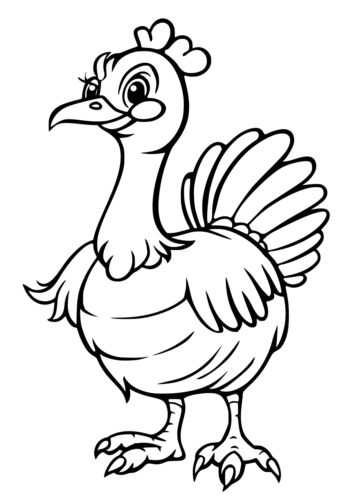 turkey coloring pages rooster, turkey, bird, chick, free page downloads