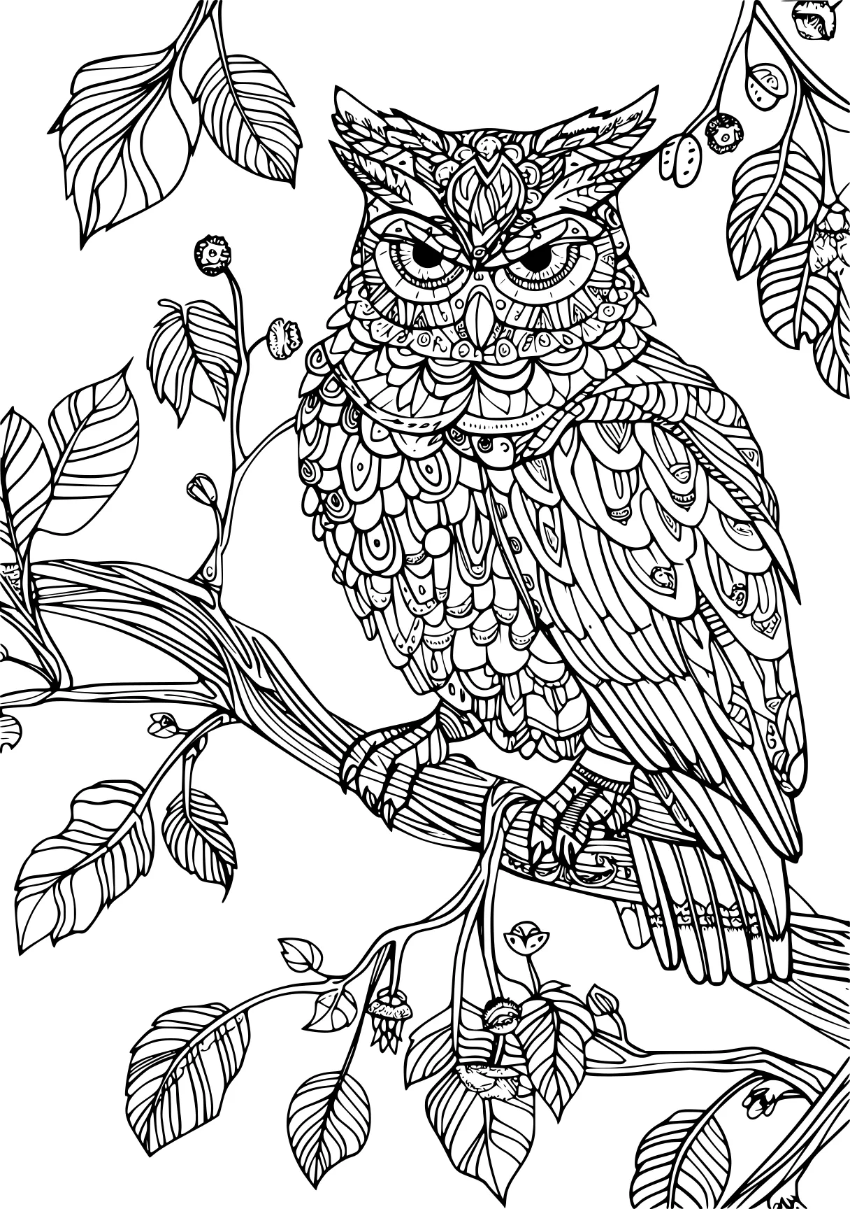 coloring pages hard owl, illustrator, colouring, free page downloads