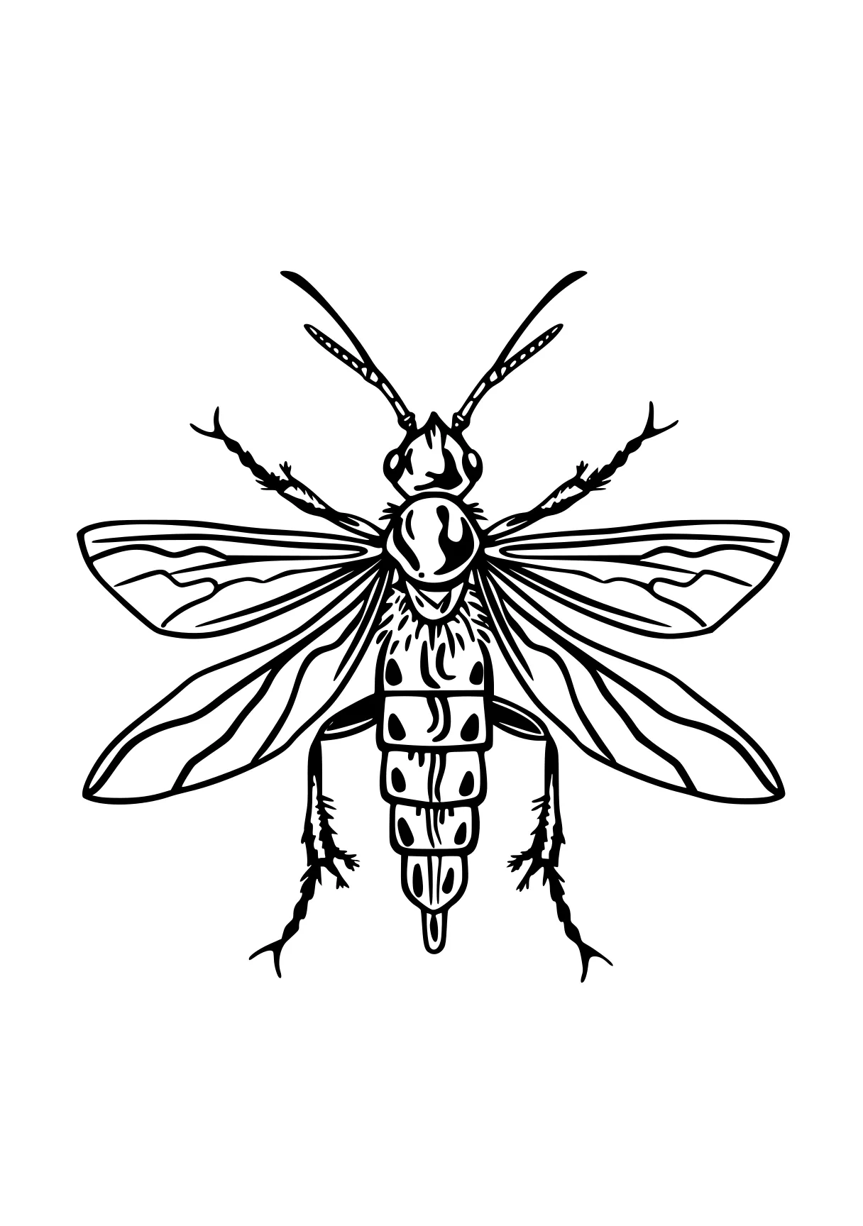 insect coloring pages bee, insect, insects, size, adult, free page downloads