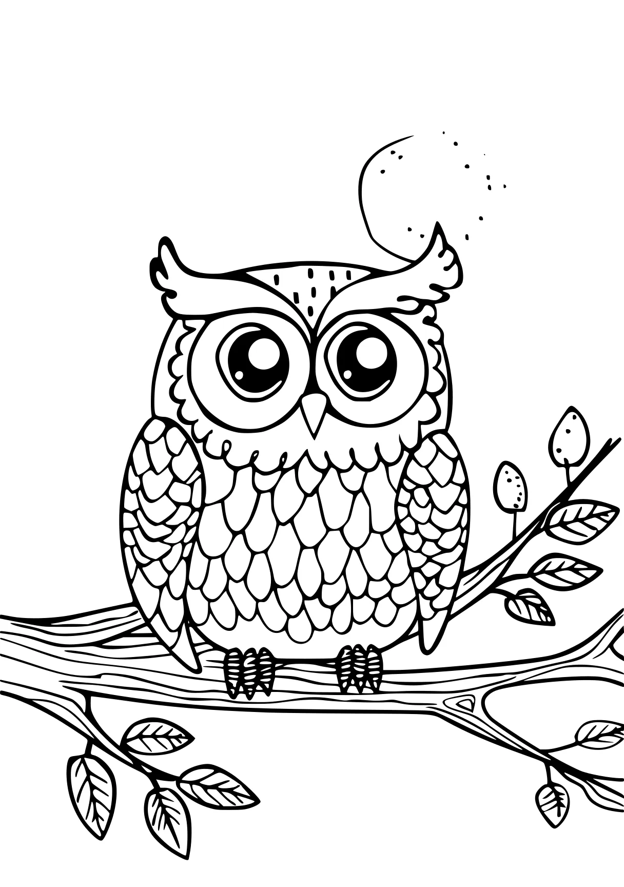 coloring sheets owl, illustrator, zentangle, free page downloads