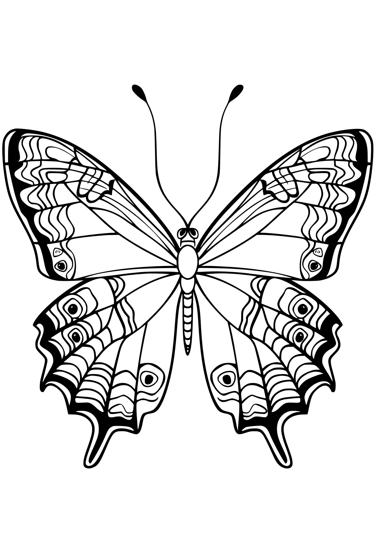 butterfly coloring butterfly, butterflies, insects, insect, wings, free page downloads