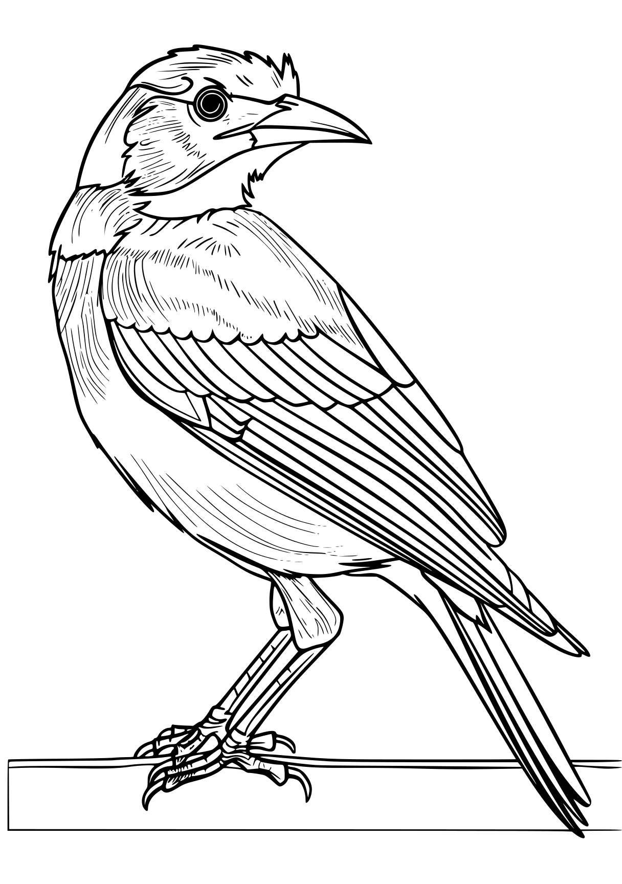 bird coloring pages bird, adult, crane, cardinal, birds, free page downloads