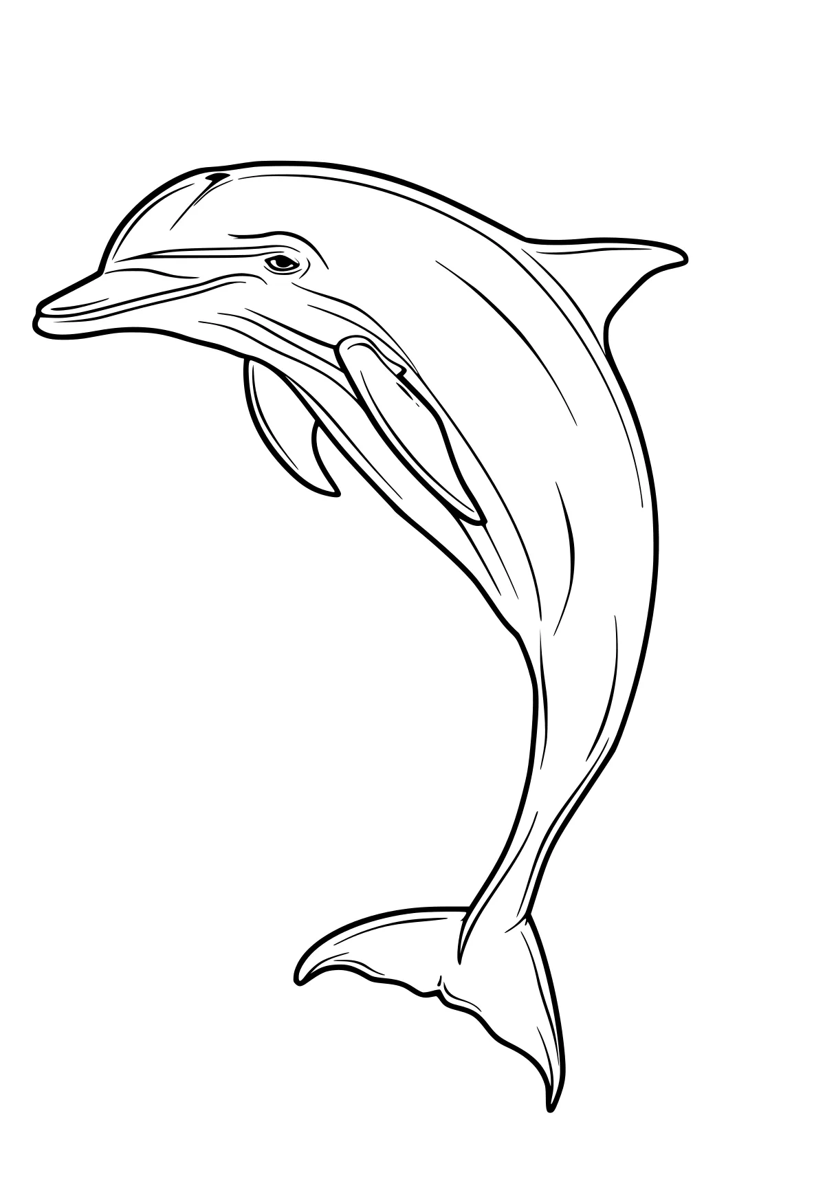 dolphin coloring pages dolphin, whale, fish, whales, narwhal, free page downloads