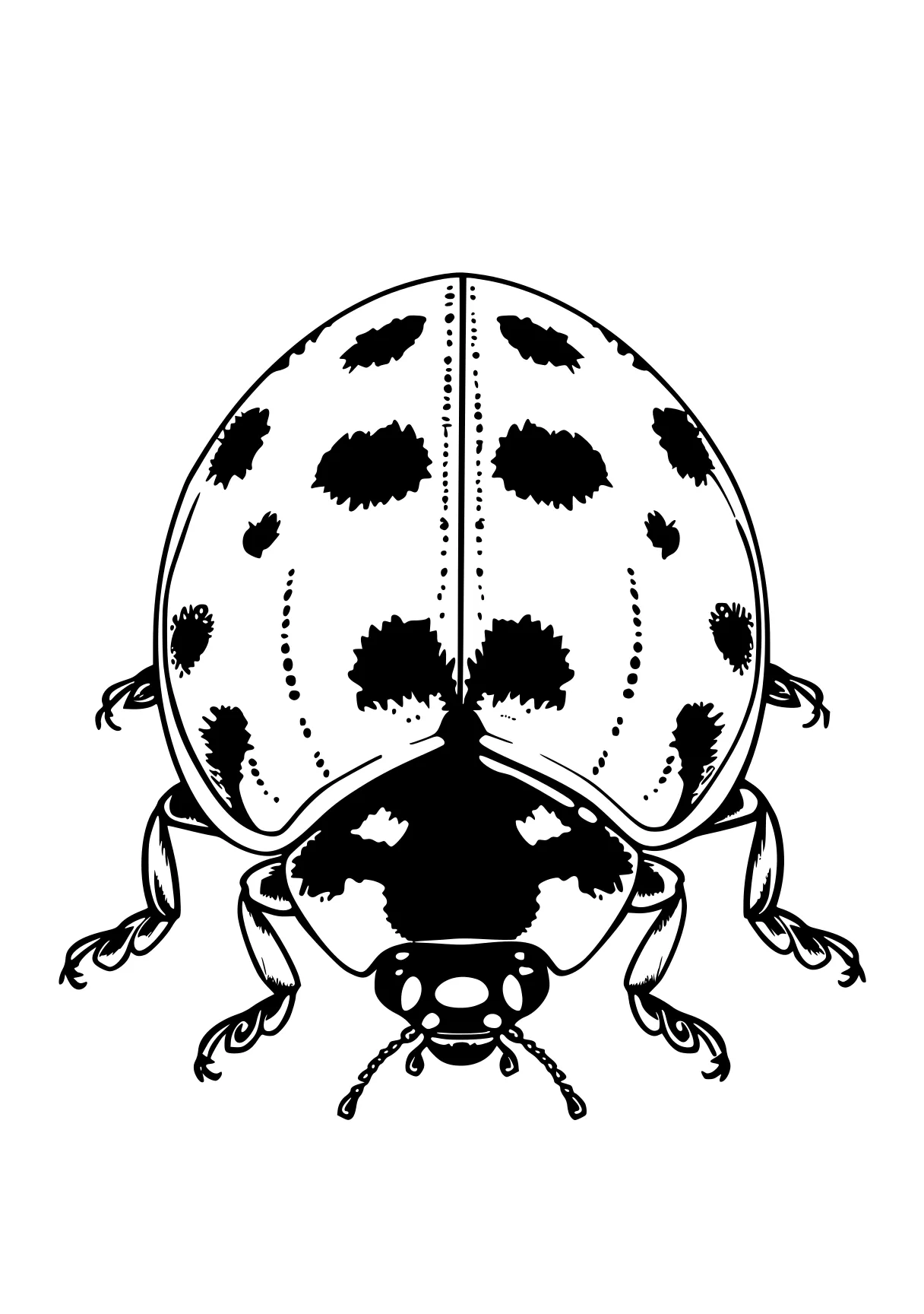 miraculous ladybug colouring pages ladybug, insect, insects, adult, size, free coloring page downloads