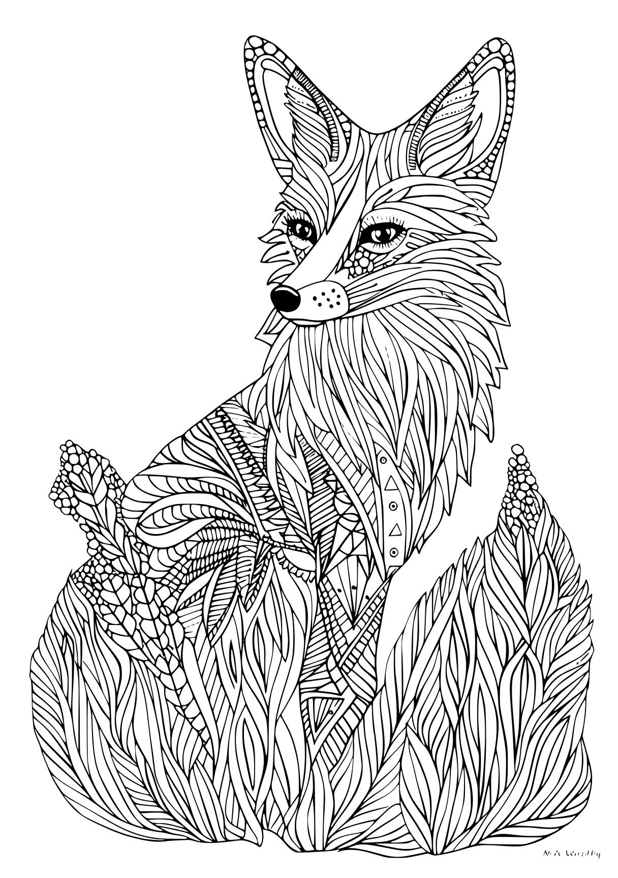 foxes coloring pages fox, foxes, foxy, raccoon, free page downloads