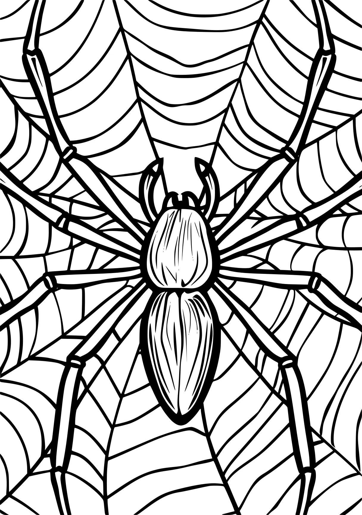 spider coloring page spider, intricate, zentangle, free downloads