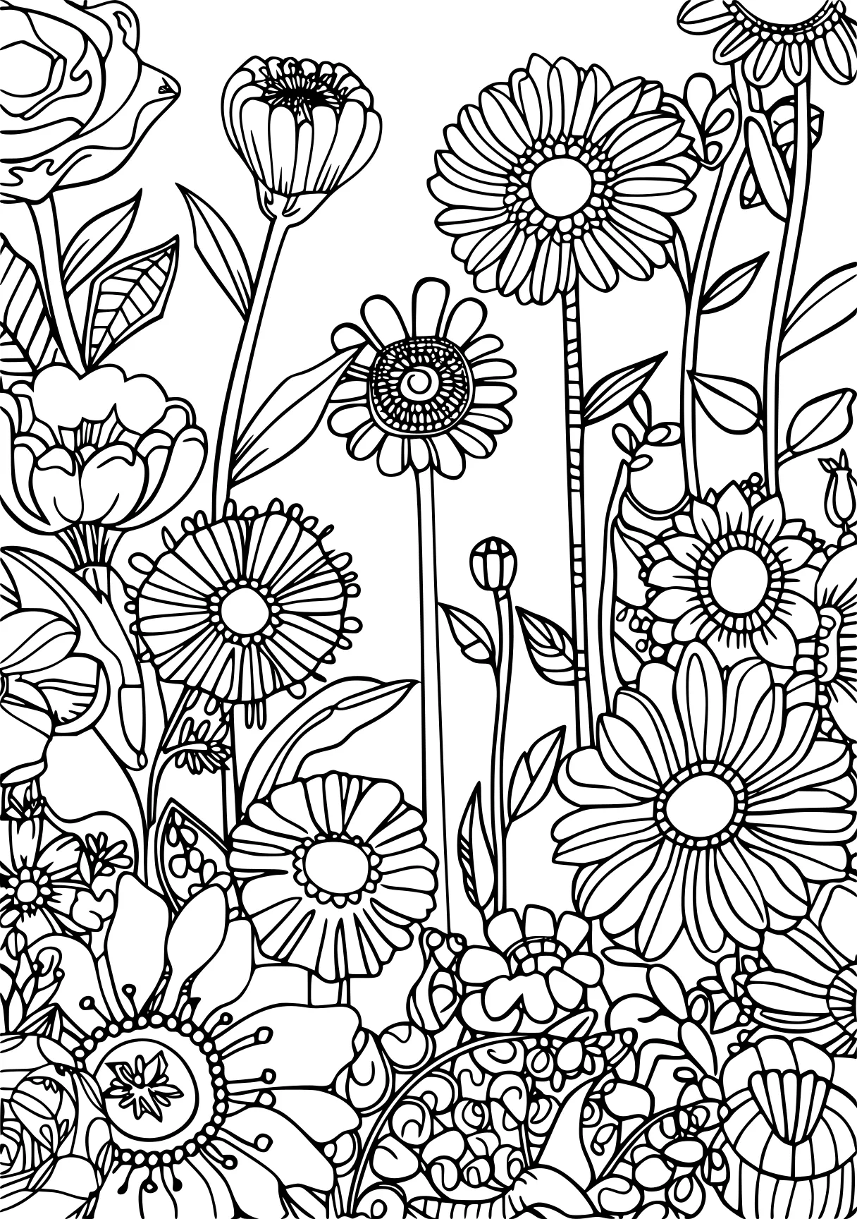 coloring sheets for adults, zentangle, colouring, printables, free page downloads