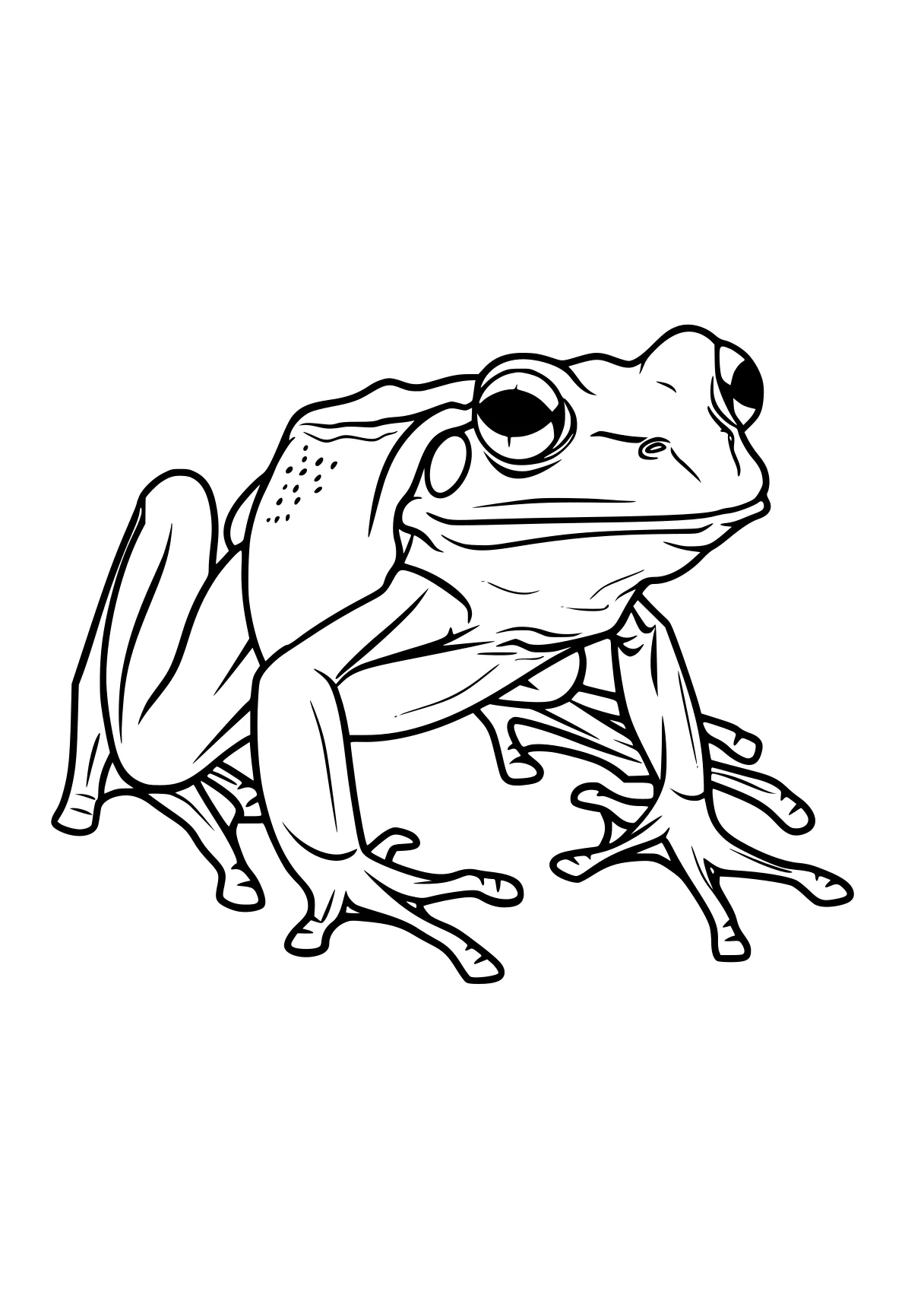 frog coloring pages frog, toad, madagascar, tayo, a4, free page downloads