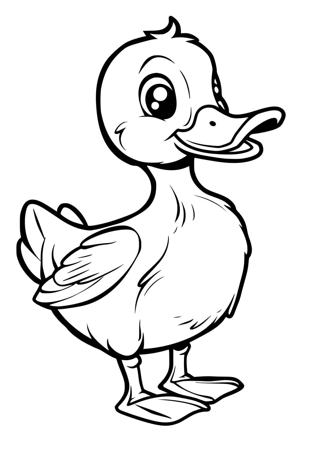 duck coloring pages duck, donald, bird, chick, ock, free page downloads