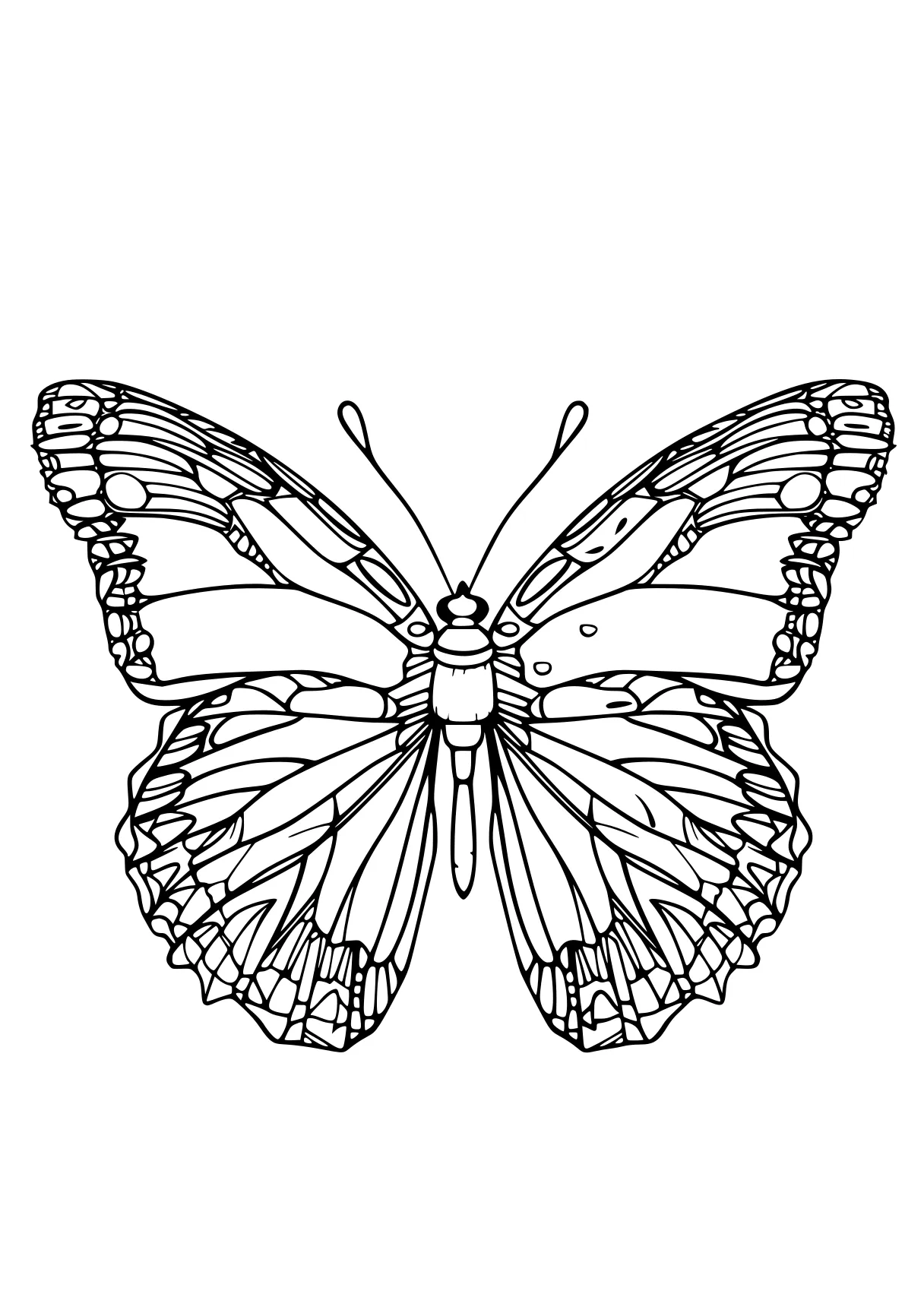 butterfly coloring sheet butterfly, insect, butterflies, adult, insects, free page downloads