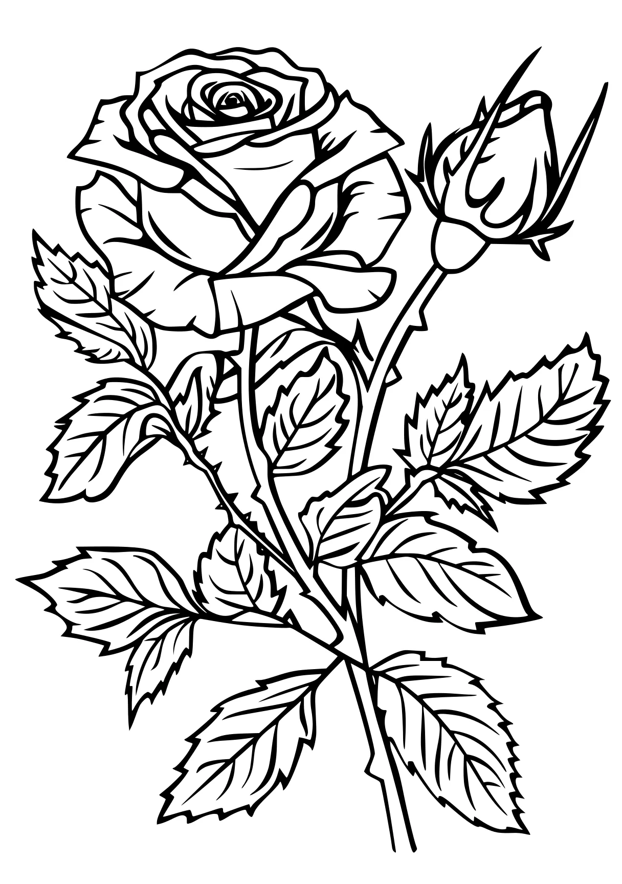 rose coloring pages rosa, rose, plant, free page downloads