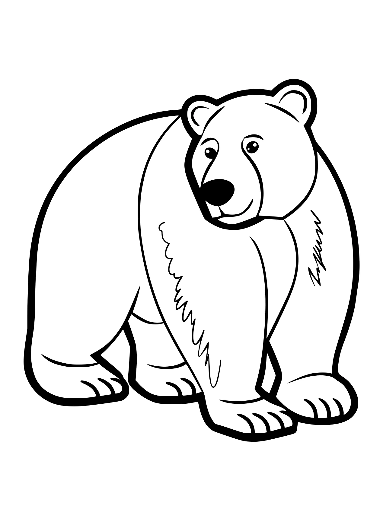 bear coloring page bear, polar, bears, koala, illustrator, free downloads