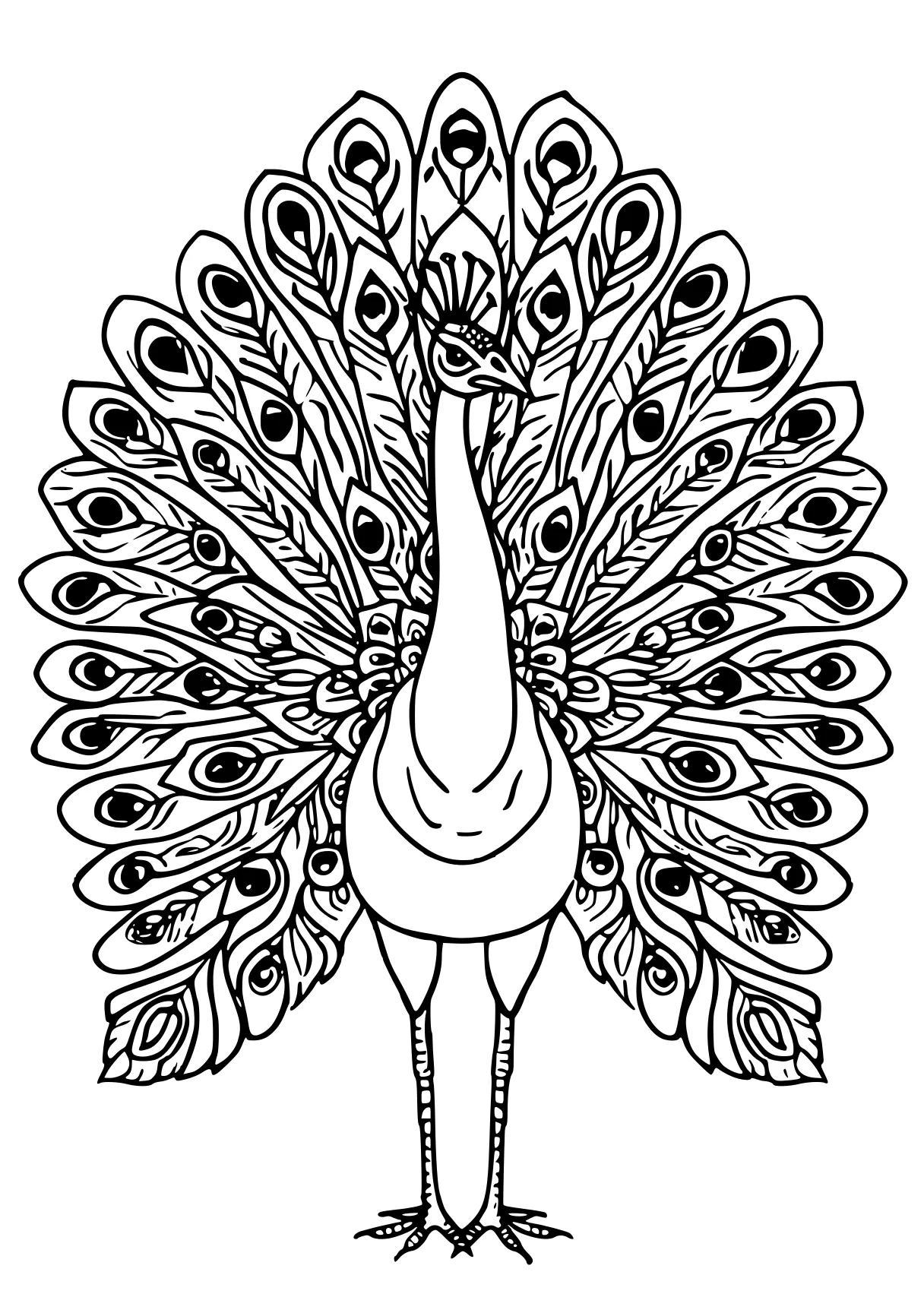 peacock coloring peacock, rooster, zentangle, free page downloads