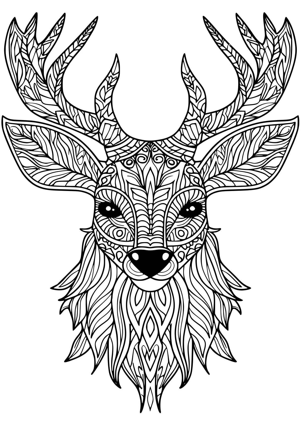 coloring book pages deer, colouring, reindeer, free page downloads