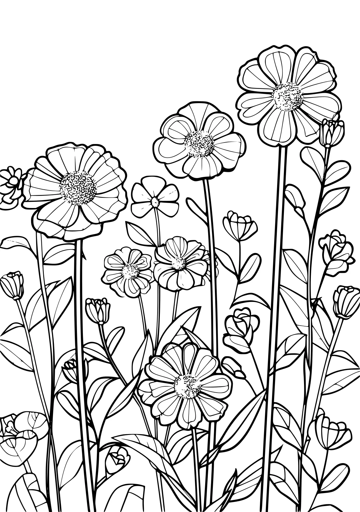 floral coloring pages, zentangle, flowers, plants, free page downloads