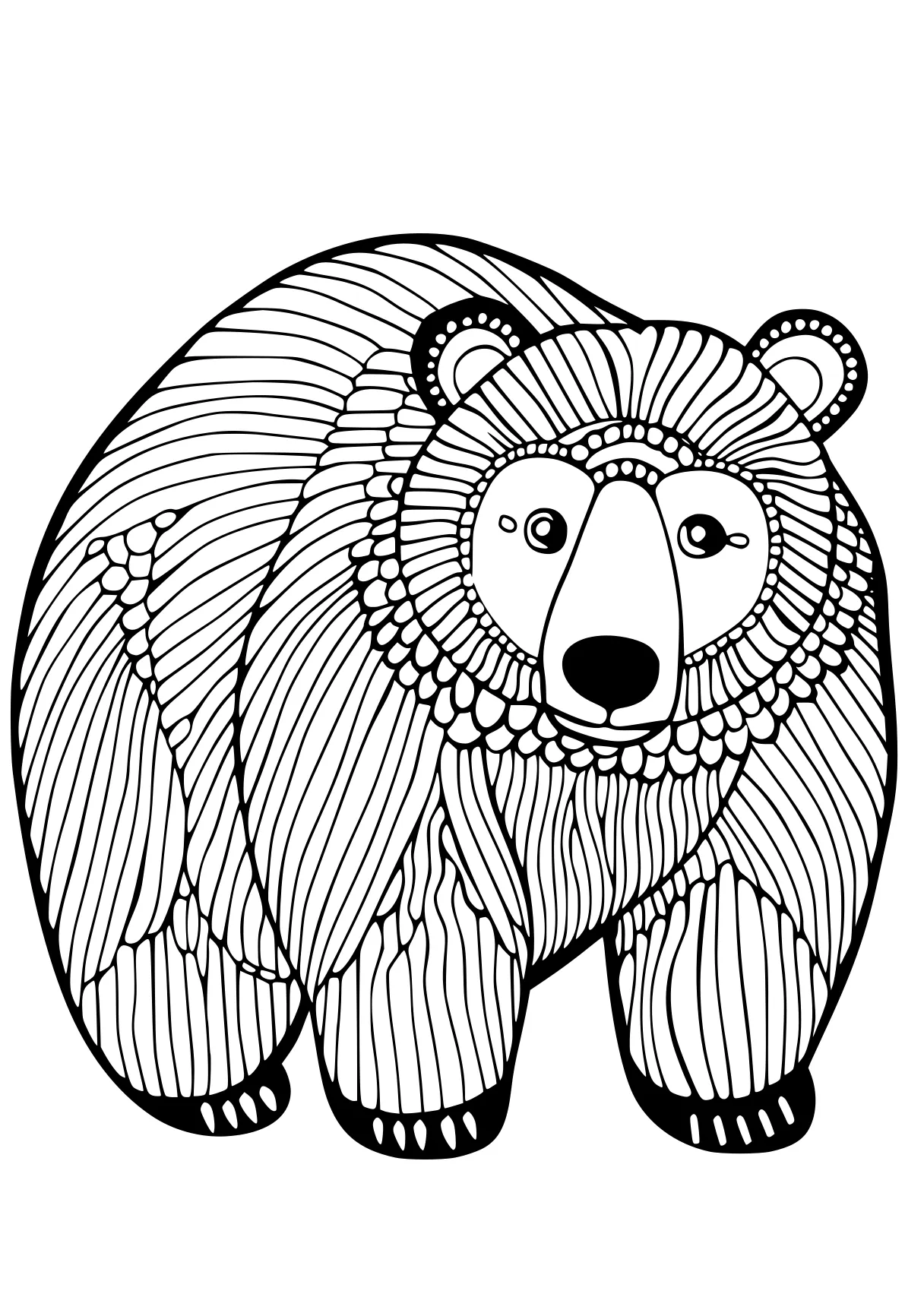 bear coloring page bear, polar, bears, free downloads