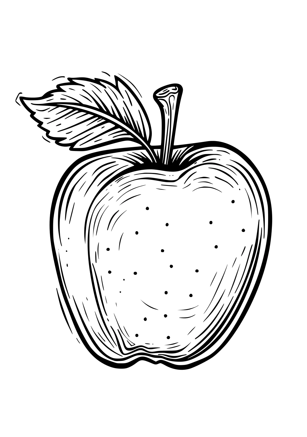 apple coloring page apple, vegetable, fruit, illustrator, acorn, free downloads