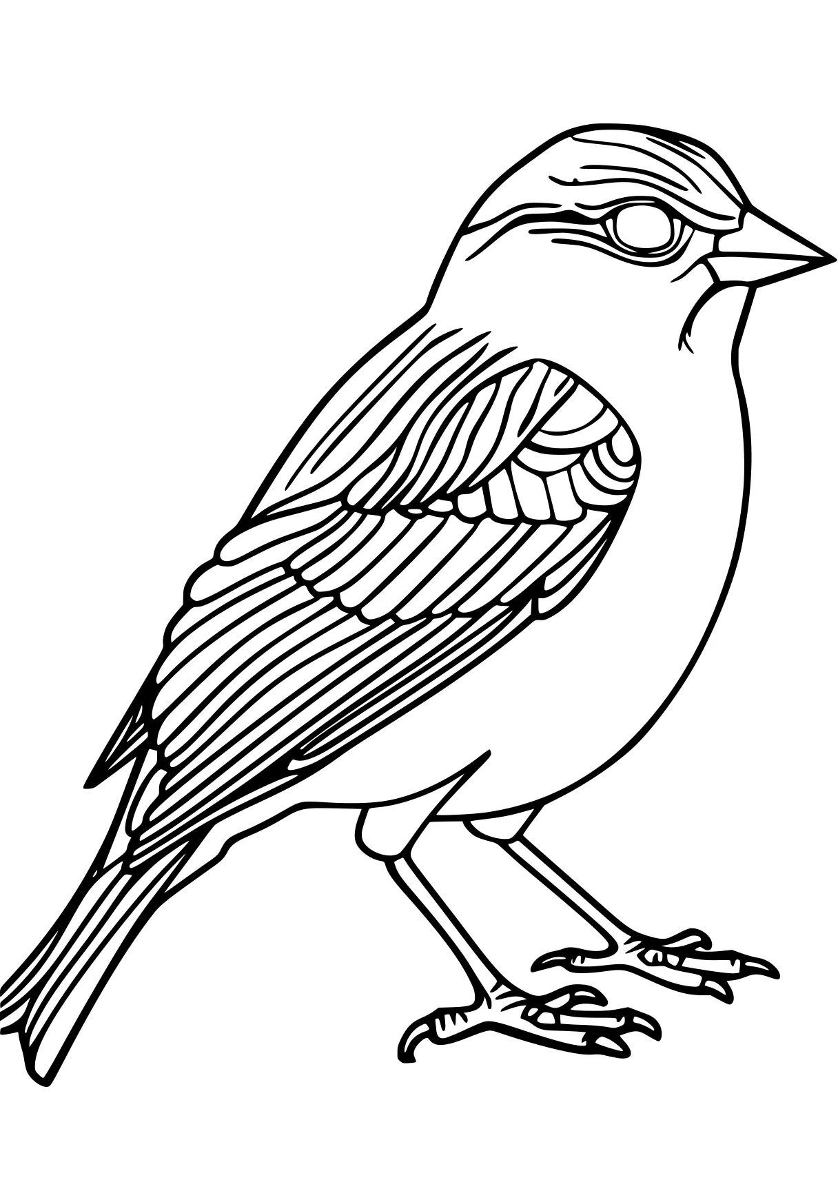 bird coloring pages, KIDS page for kids style of book, empty background, super thick black vector lines, and white, Black-and-white Bold Outlined Thick-lined Flat 2D, Simple, Clean, Cartoonish, Unfilled, Solid, Playful  shading shadow text fonts letters watermark words typography slogans strokes sketch signature gray grey dither dithering grayscale 70:99