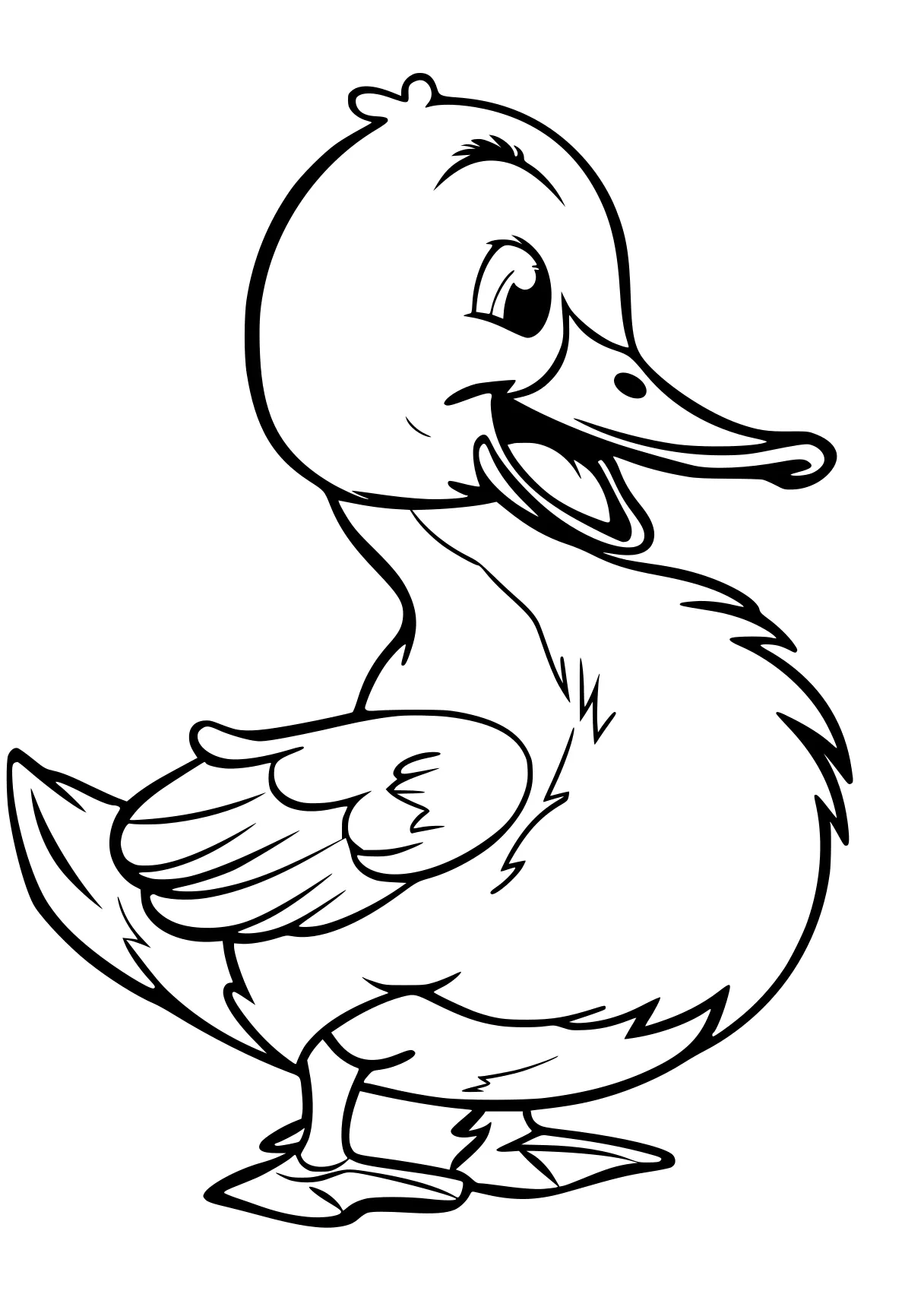 duck coloring page duck, bird, donald, crane, chick, free downloads