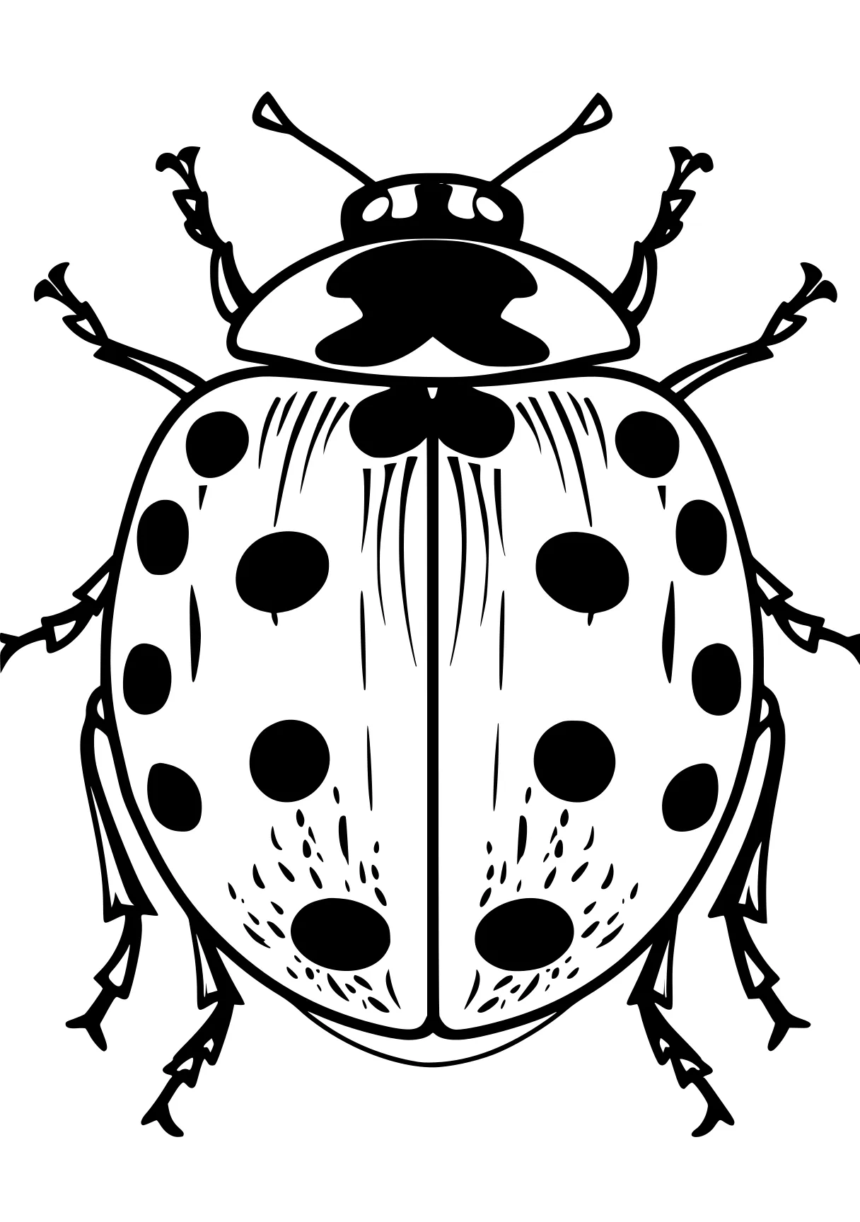 miraculous ladybug colouring pages ladybug, insects, insect, bugs, bug, free coloring page downloads