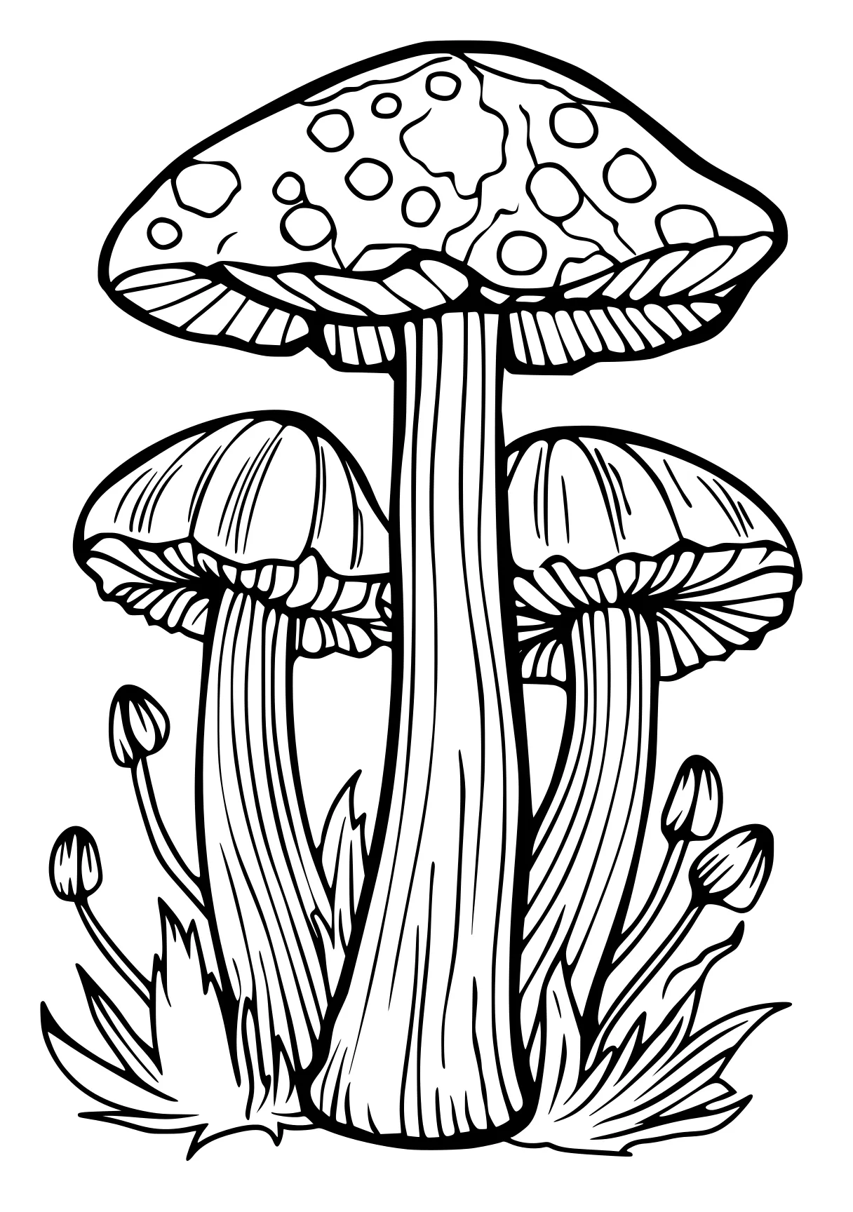 bluey colouring pages mushroom, illustrator, colouring, free coloring page downloads