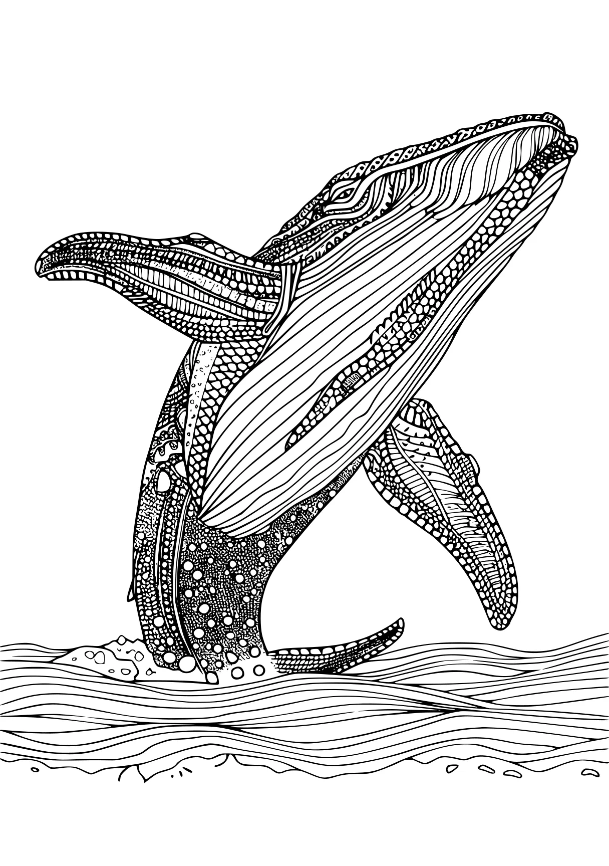 whale coloring pages mosasaurus, whale, biollante, whales, megalodon, free page downloads