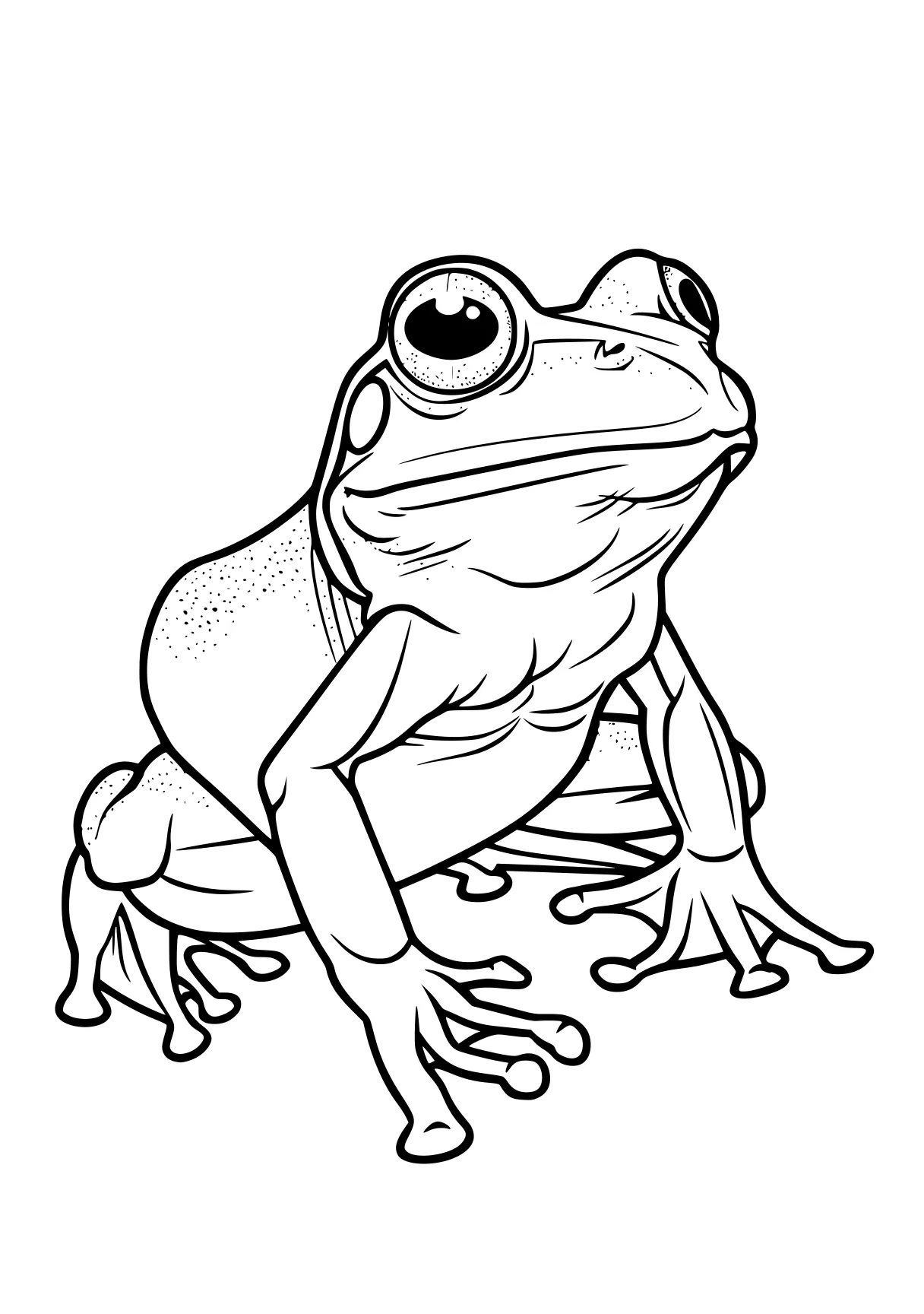 frog coloring sheet frog, toad, tayo, wall, pet, free page downloads