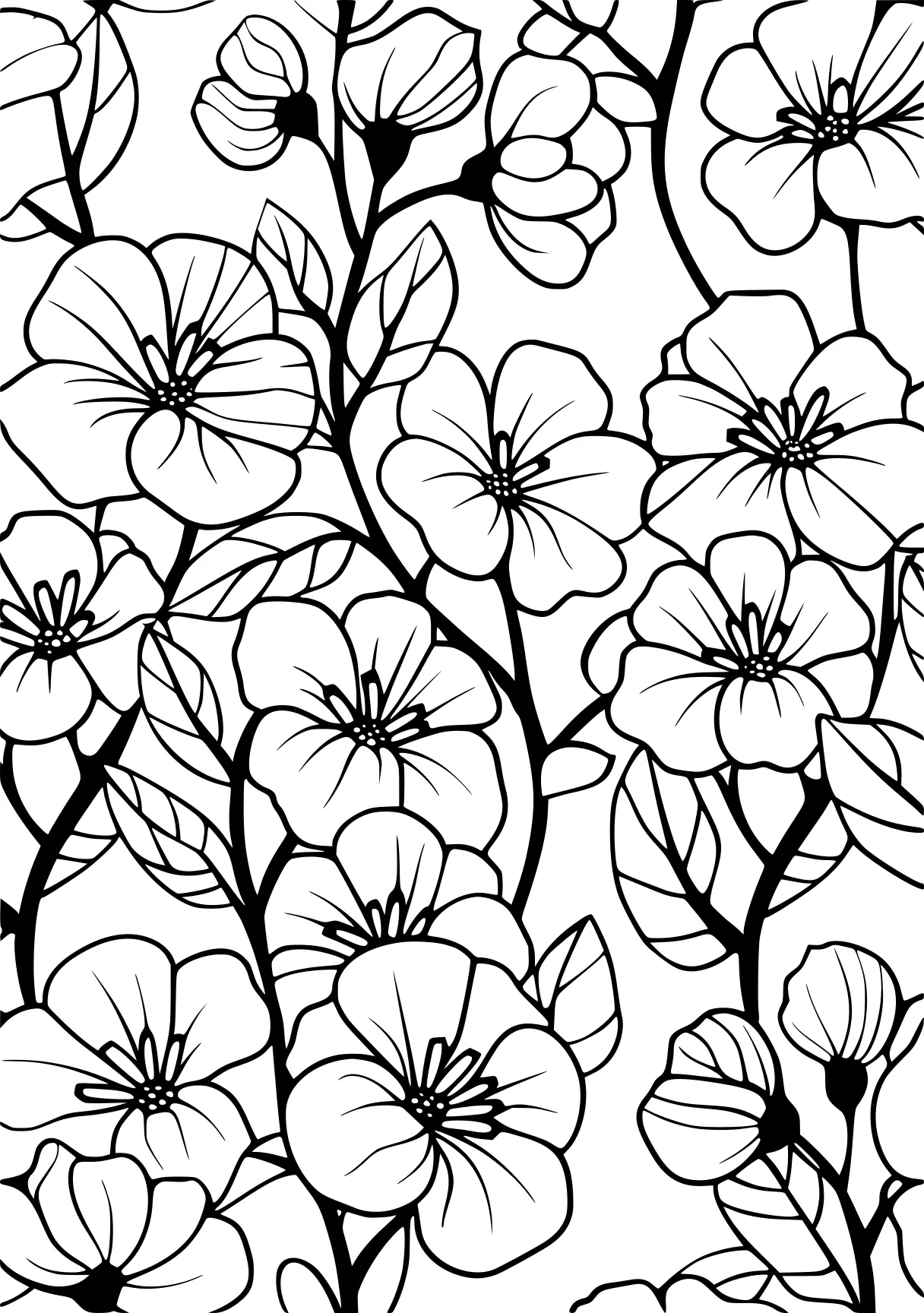 flower coloring pages, pattern, floral, patterns, free page downloads