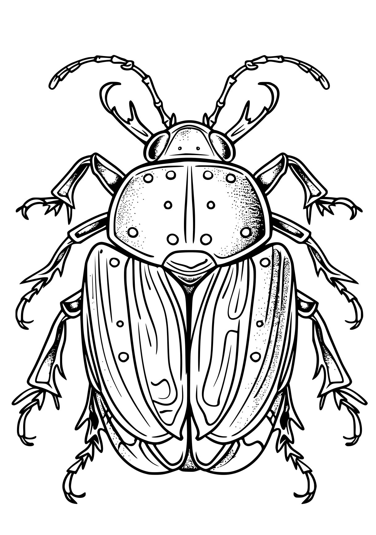 insect coloring pages insect, insects, bee, bugs, adult, free page downloads