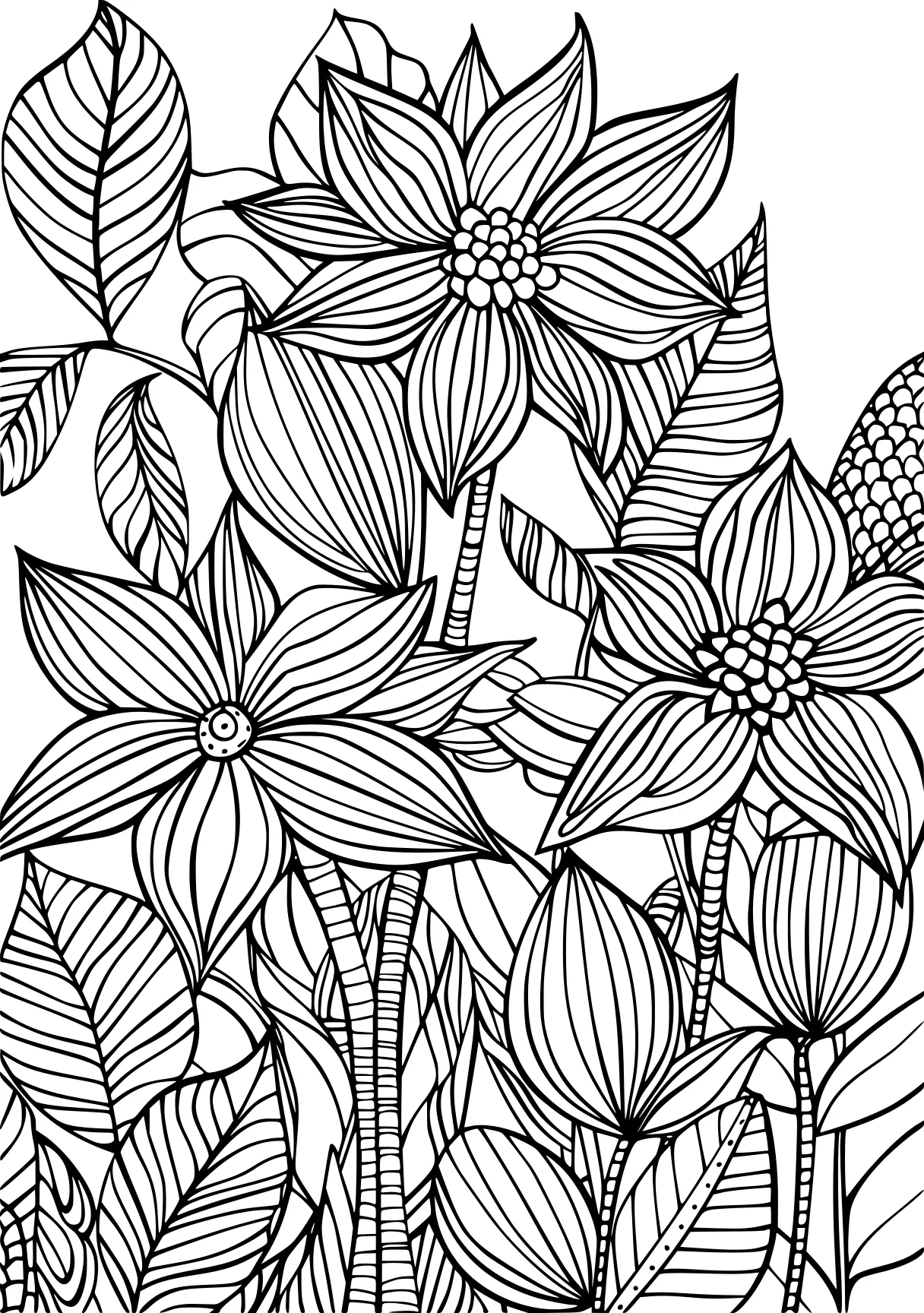 plant coloring pages, zentangle, colouring, pattern, free page downloads