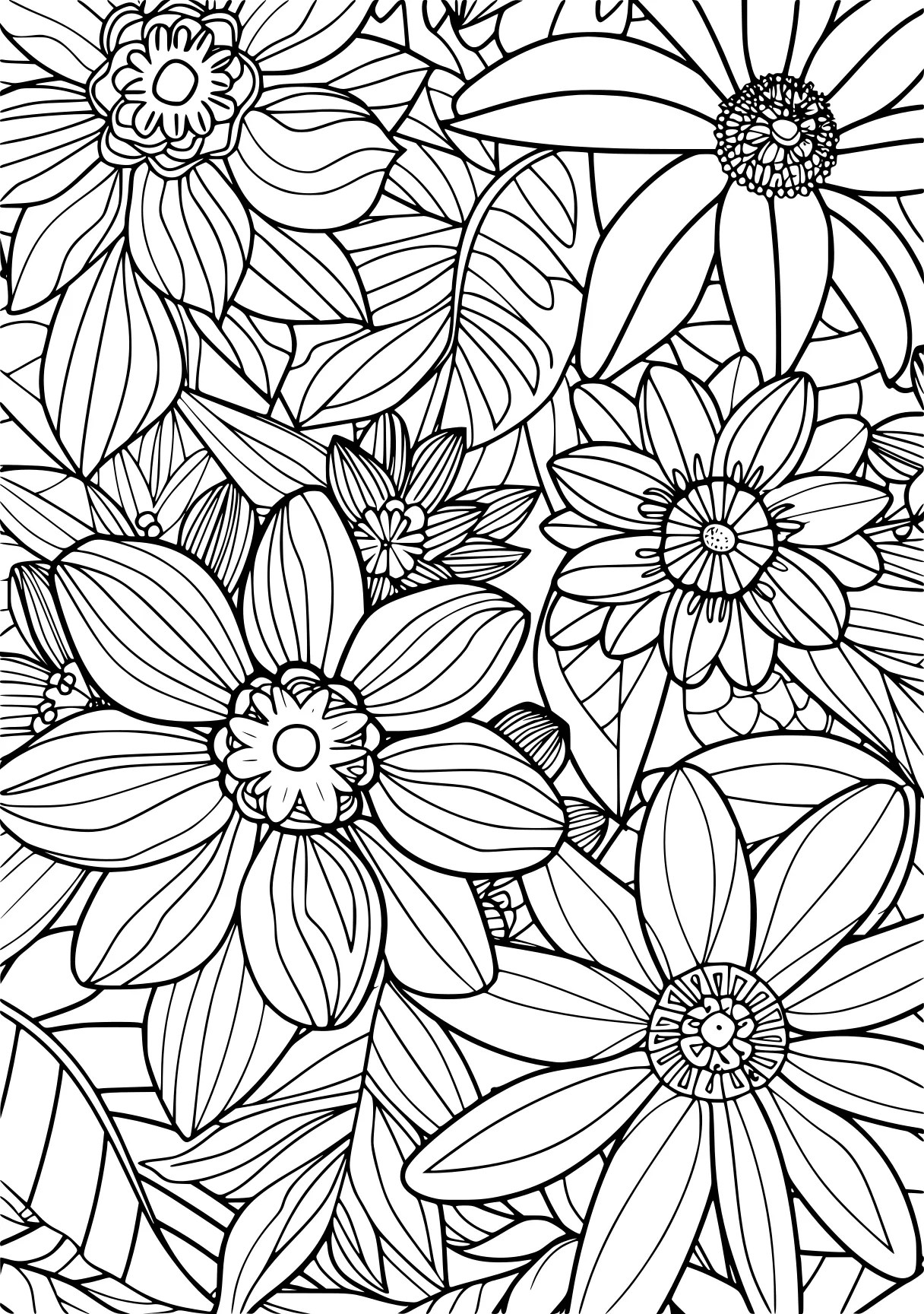 best coloring books for adults, colouring, pattern, zentangle, free page downloads