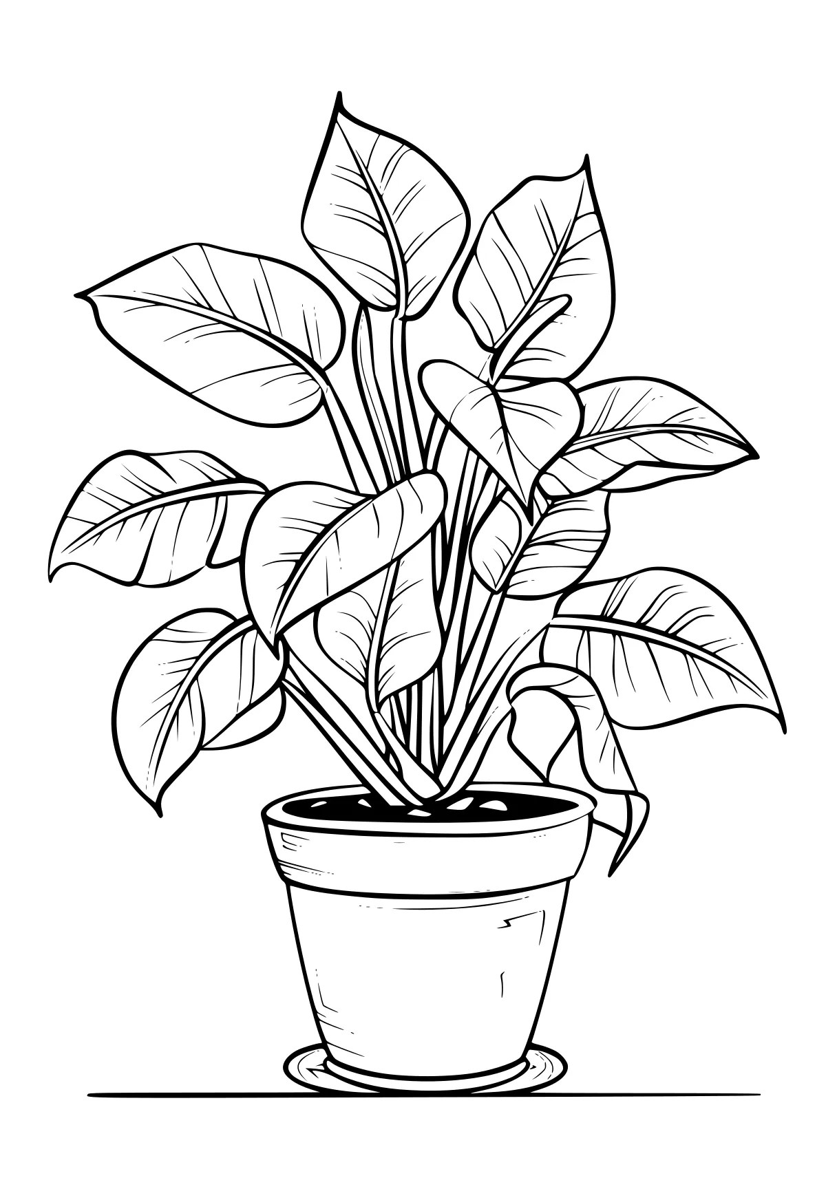 plant coloring pages plant, plants, palm, vegetable, free page downloads