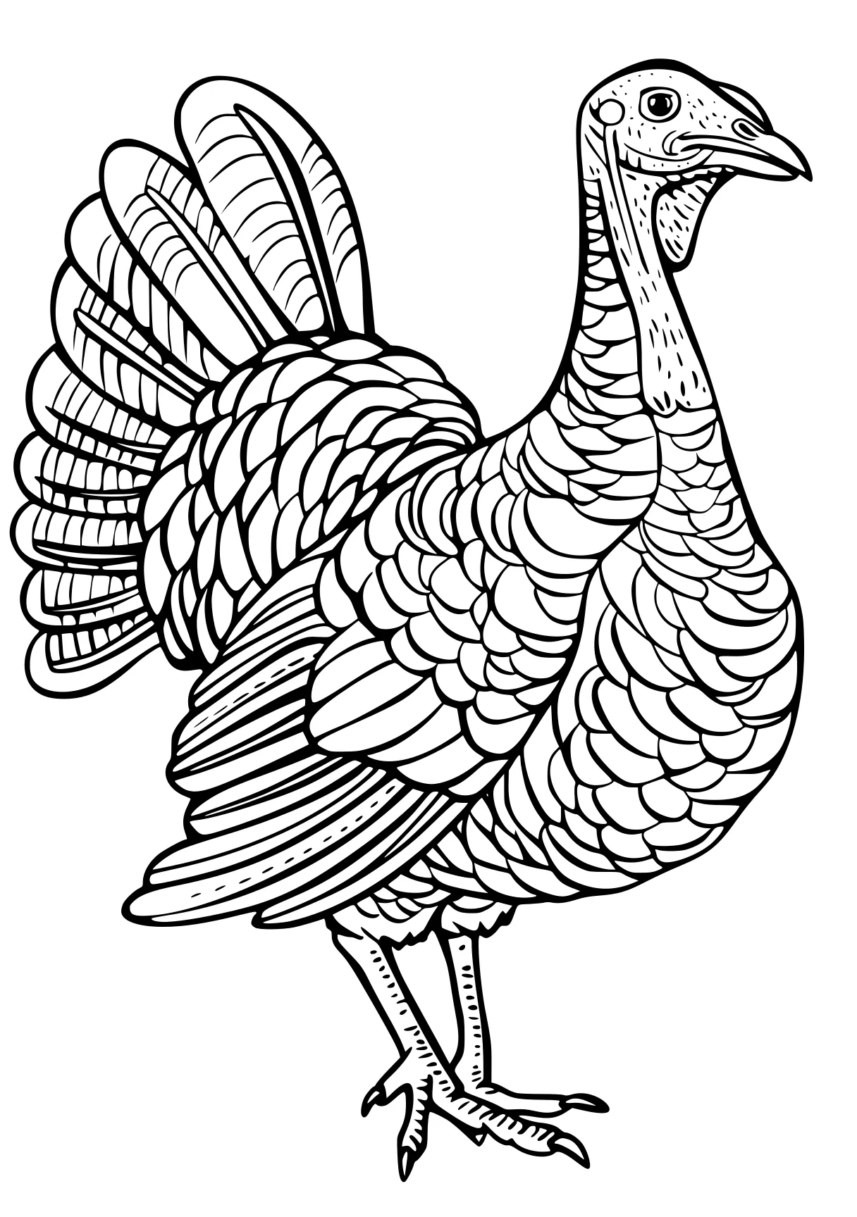 turkey coloring pages rooster, peacock, adult, free page downloads